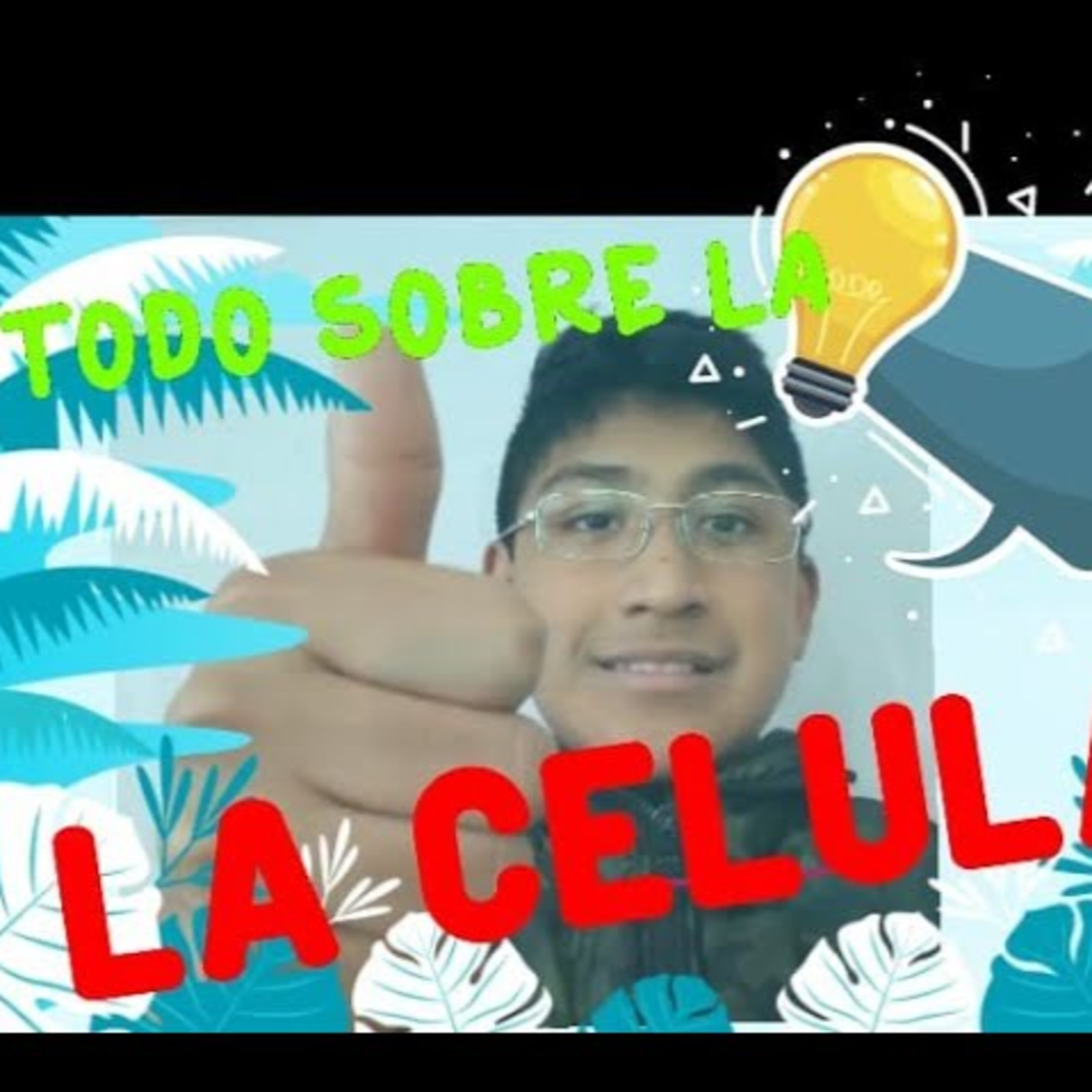 EDUCARLOSOFICIAL