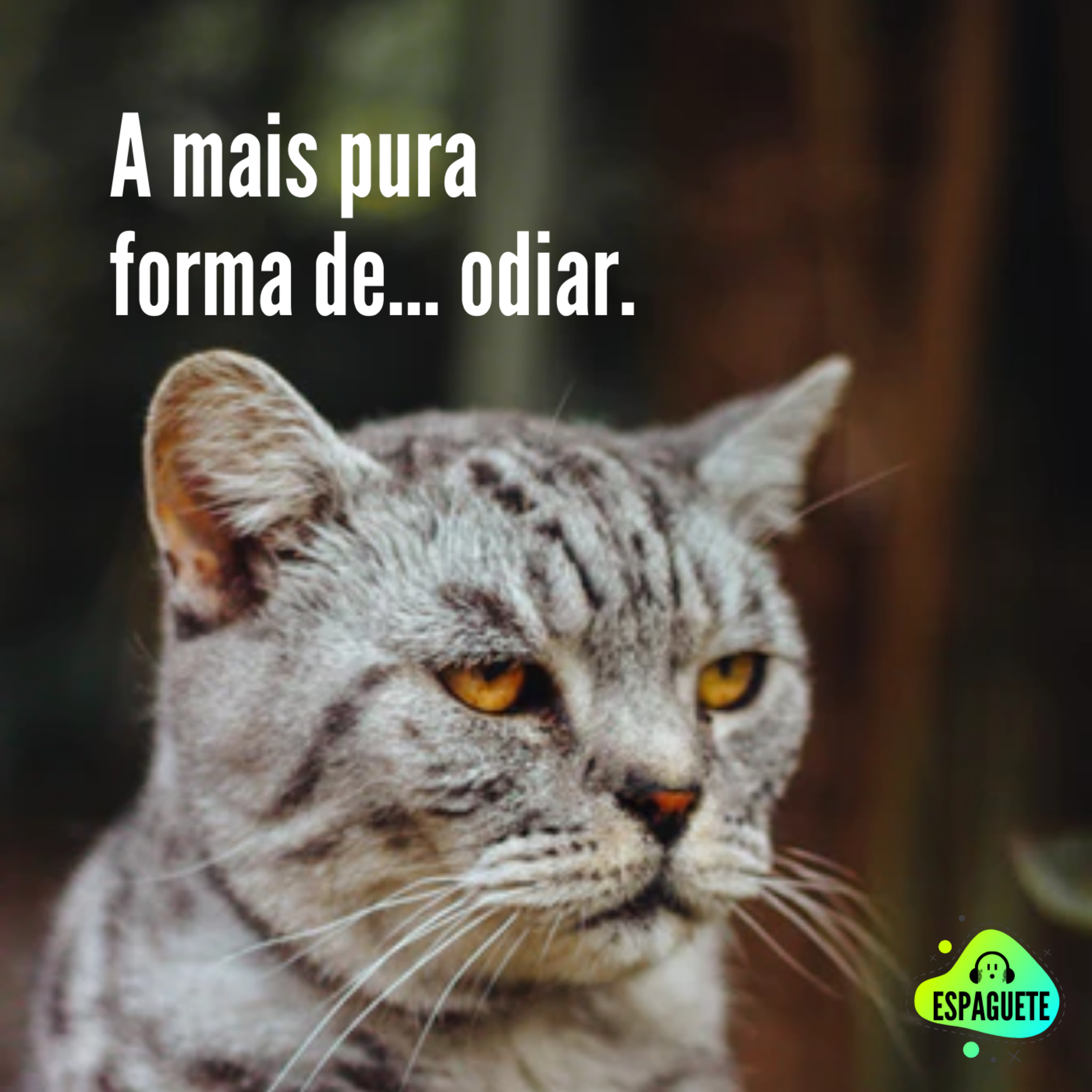 Espaguete