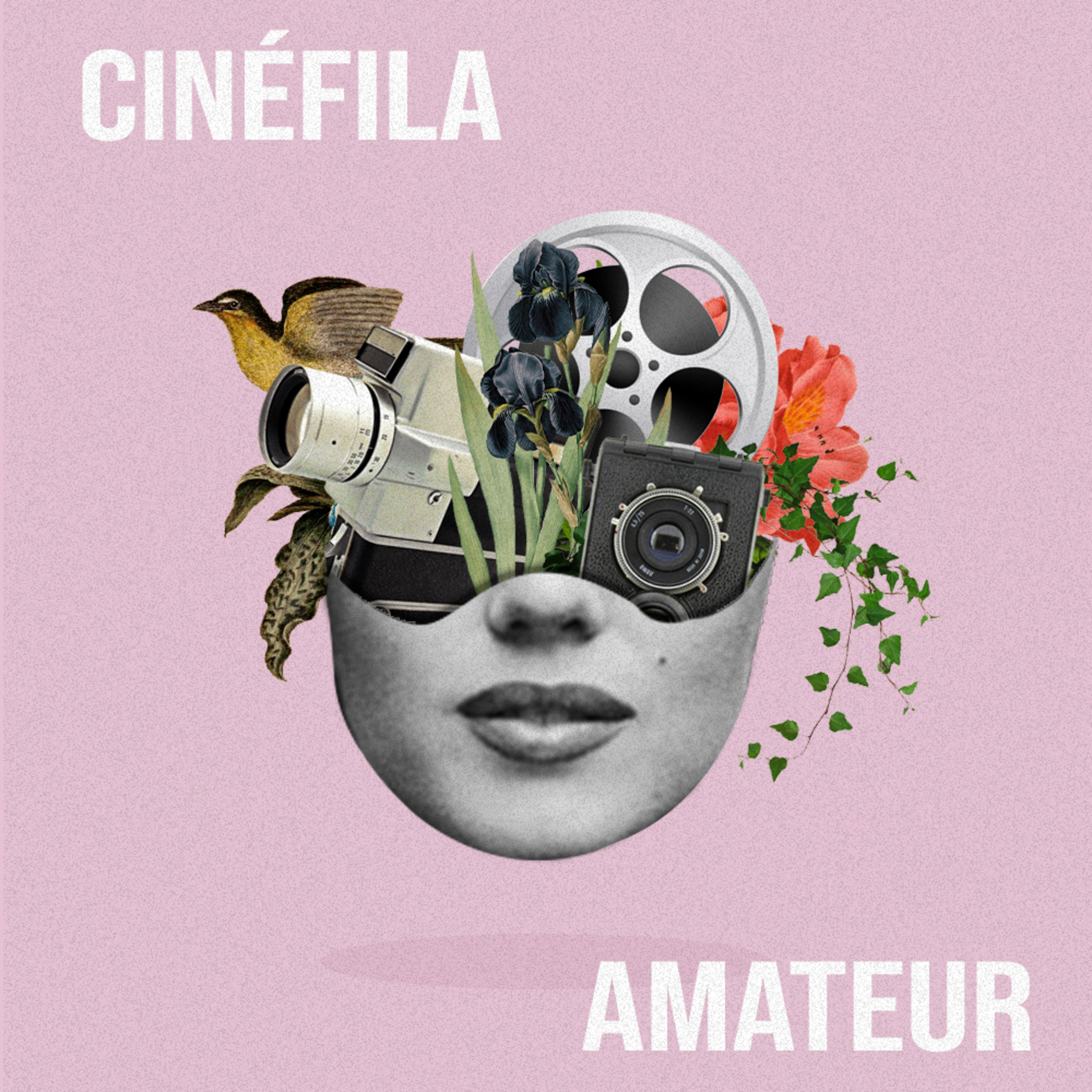 Cinéfila Amateur