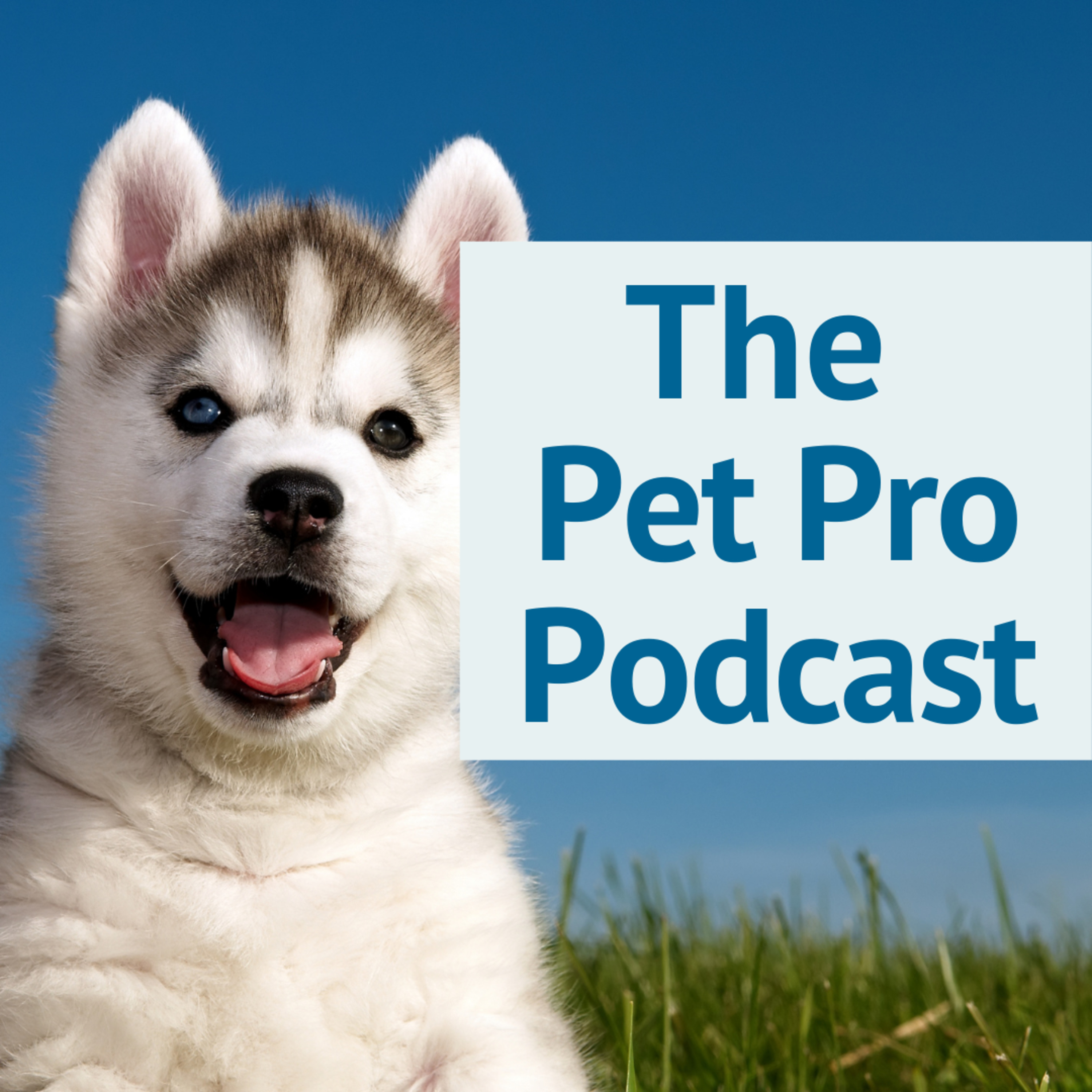 Welcome Pets Pros!  episode artwork