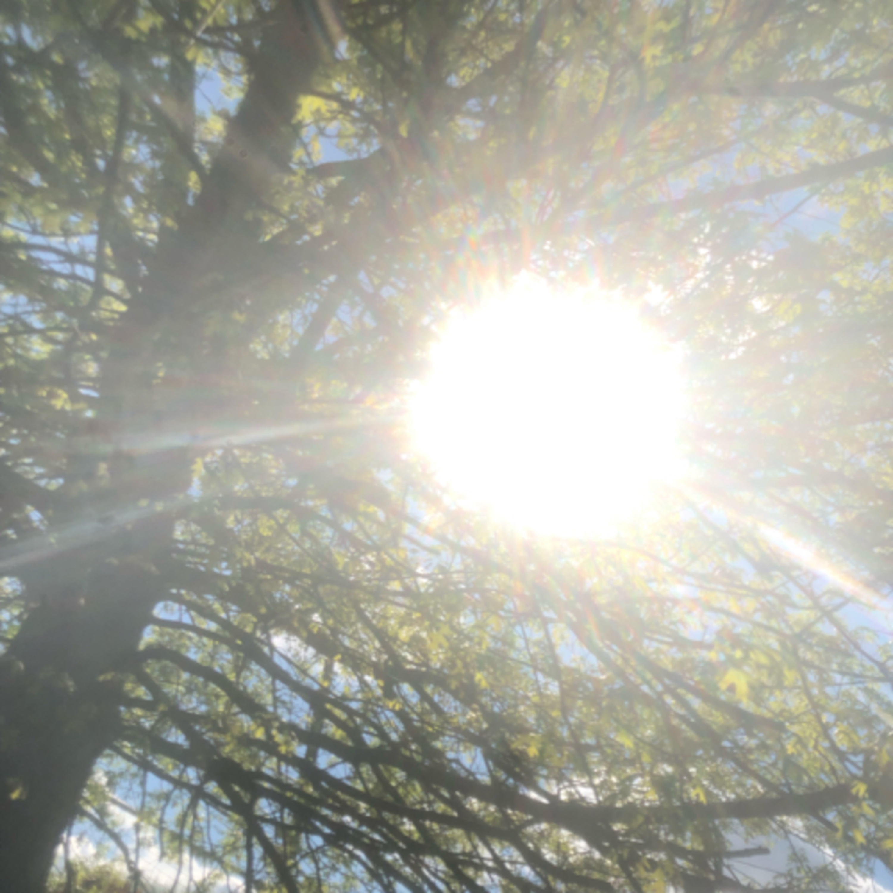 #FINDYOURTRUTHJANUARY261987