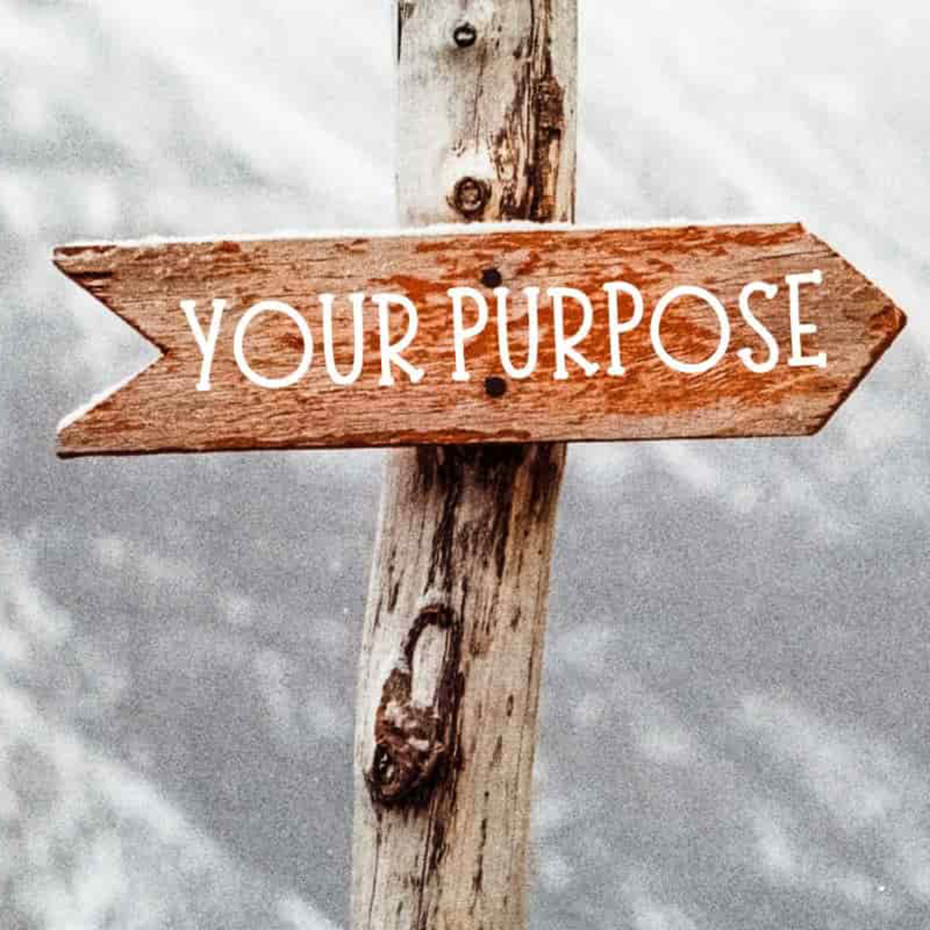 Speak On "Finding Your Purpose". episode artwork