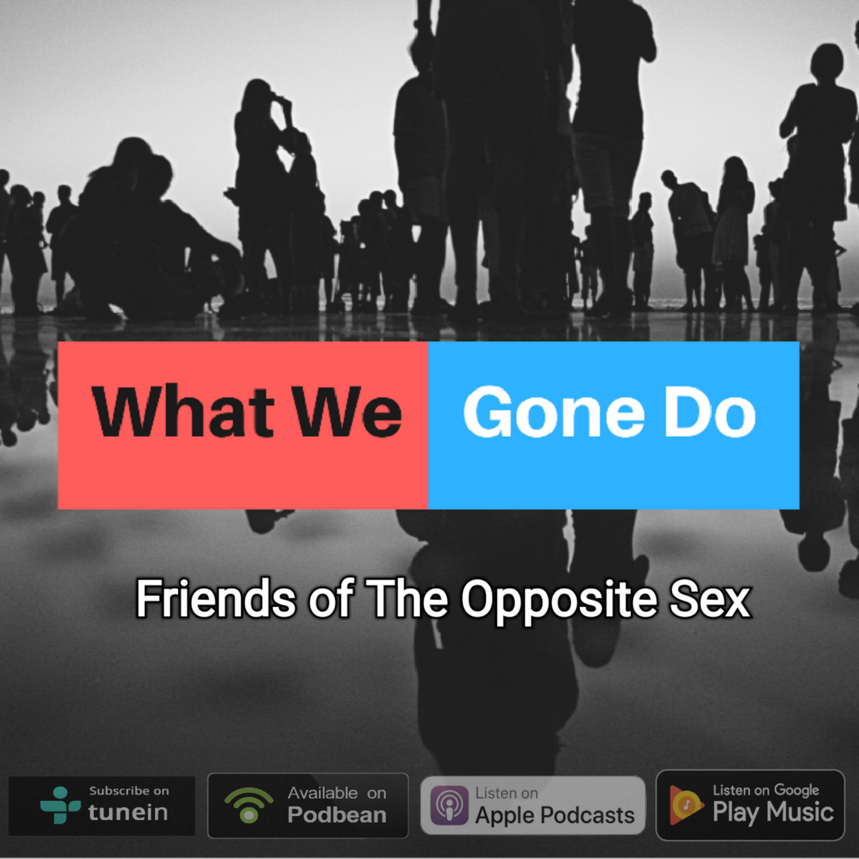 Friends of The Opposite Sex episode artwork