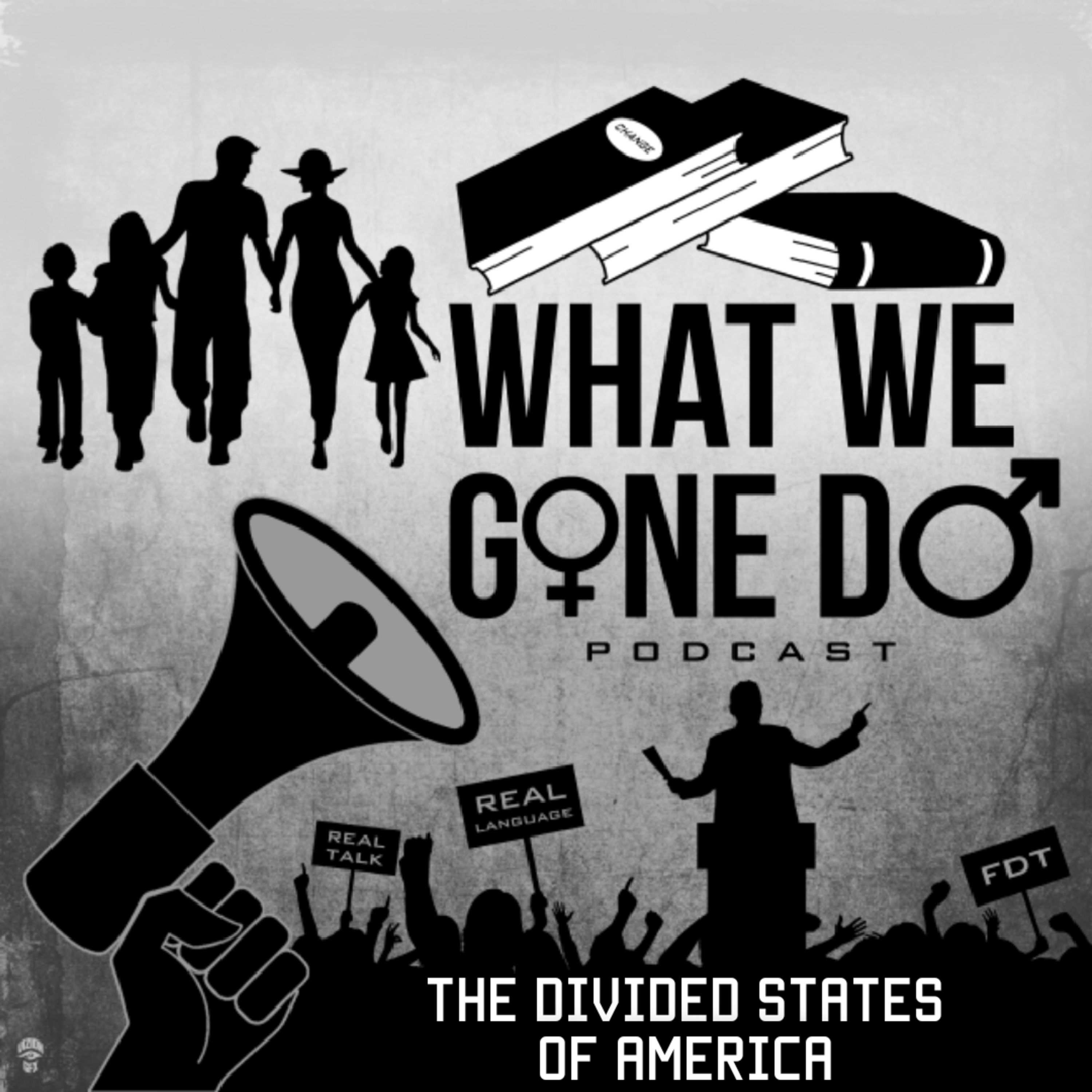 The Divided States Of America episode artwork