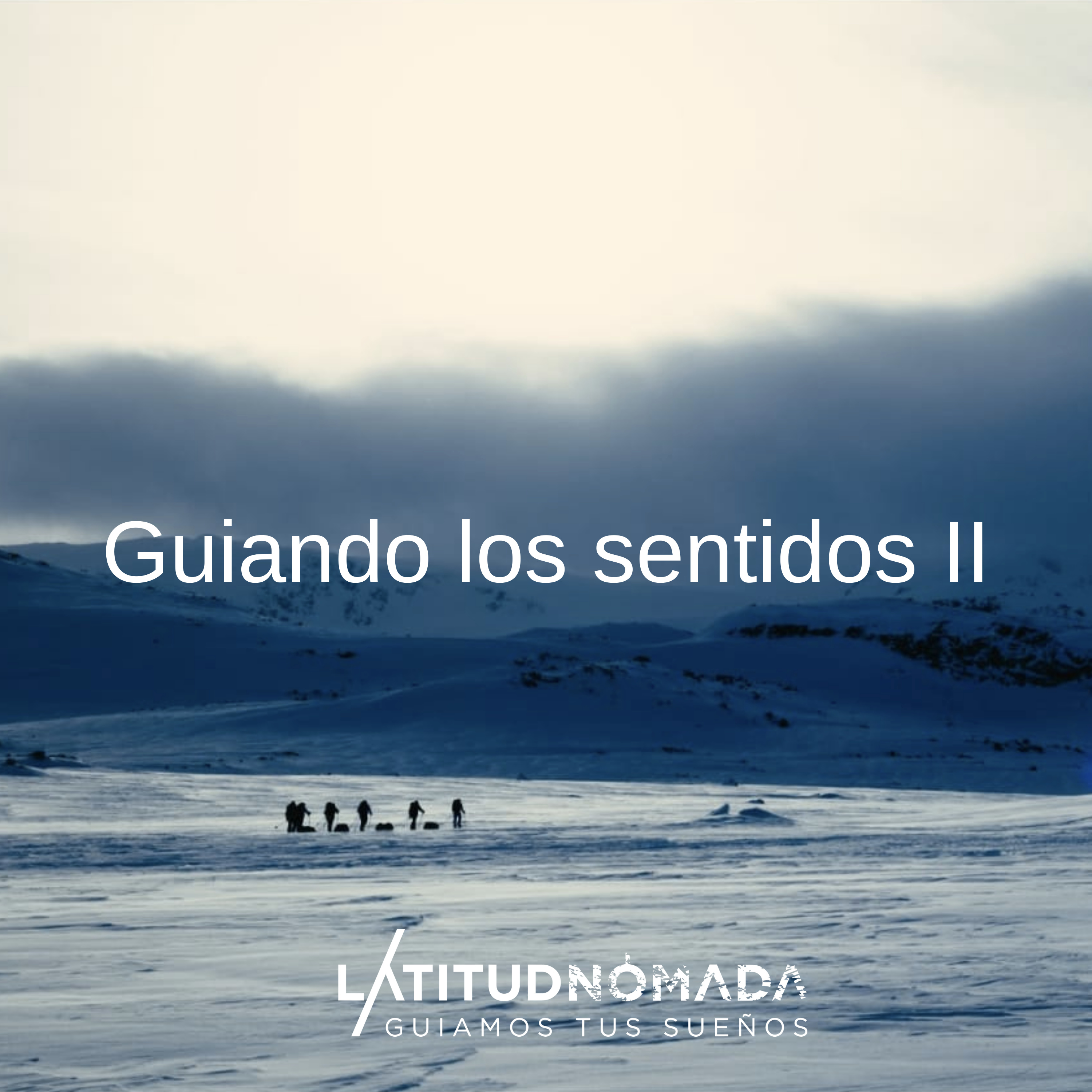 Guiando los sentidos (Segunda parte)