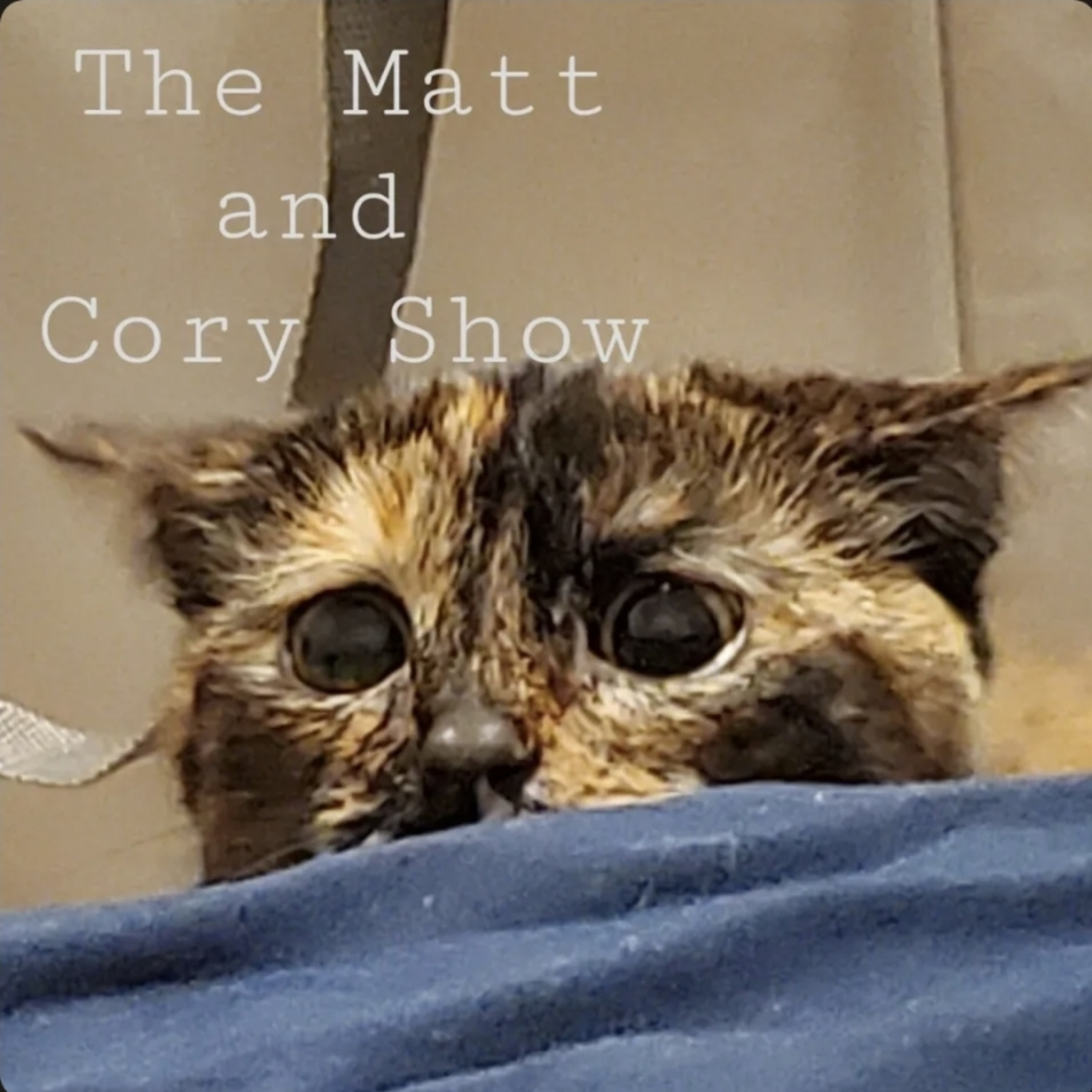 The Matt and Cory Show