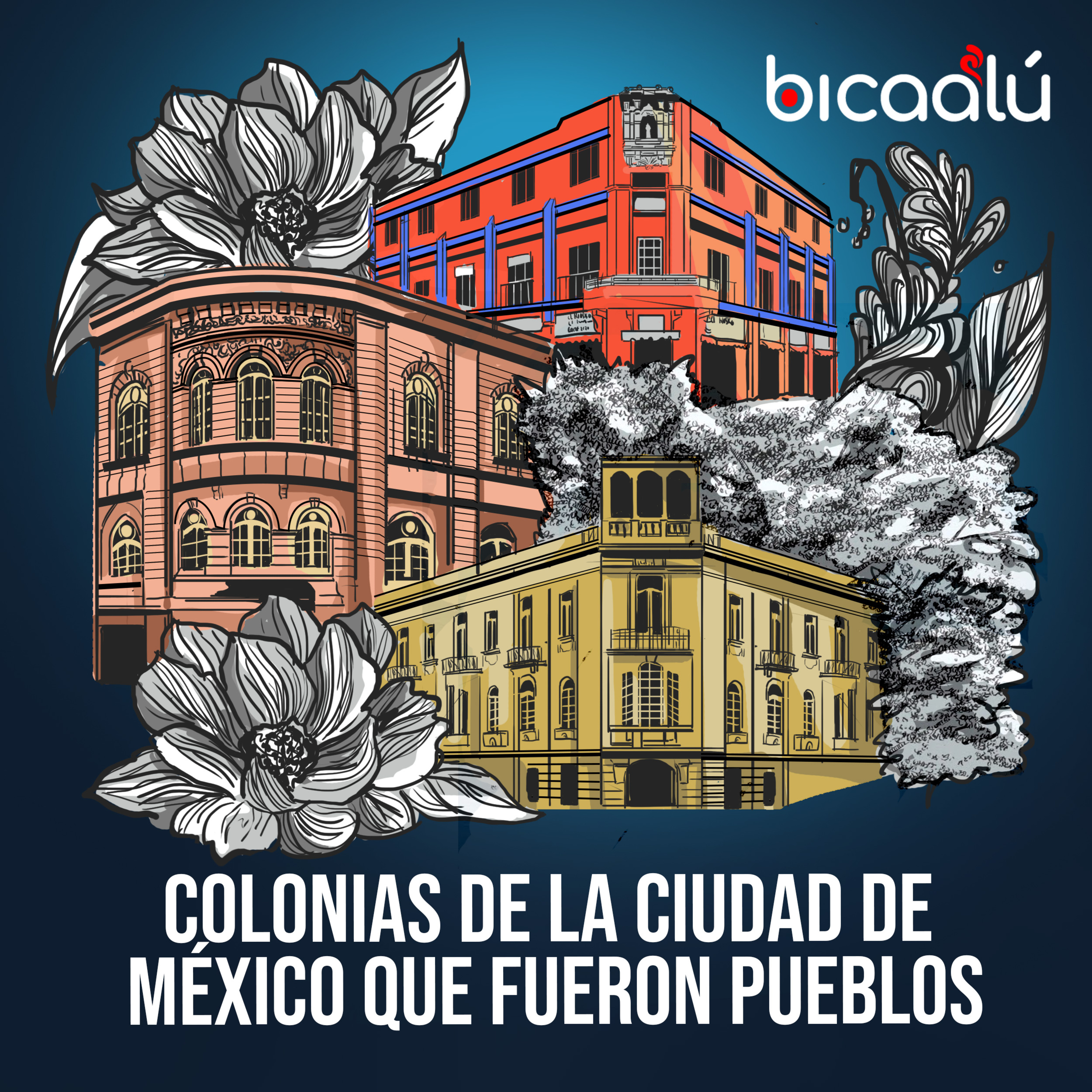 Revista Bicaalú (creatividad + inspiración)