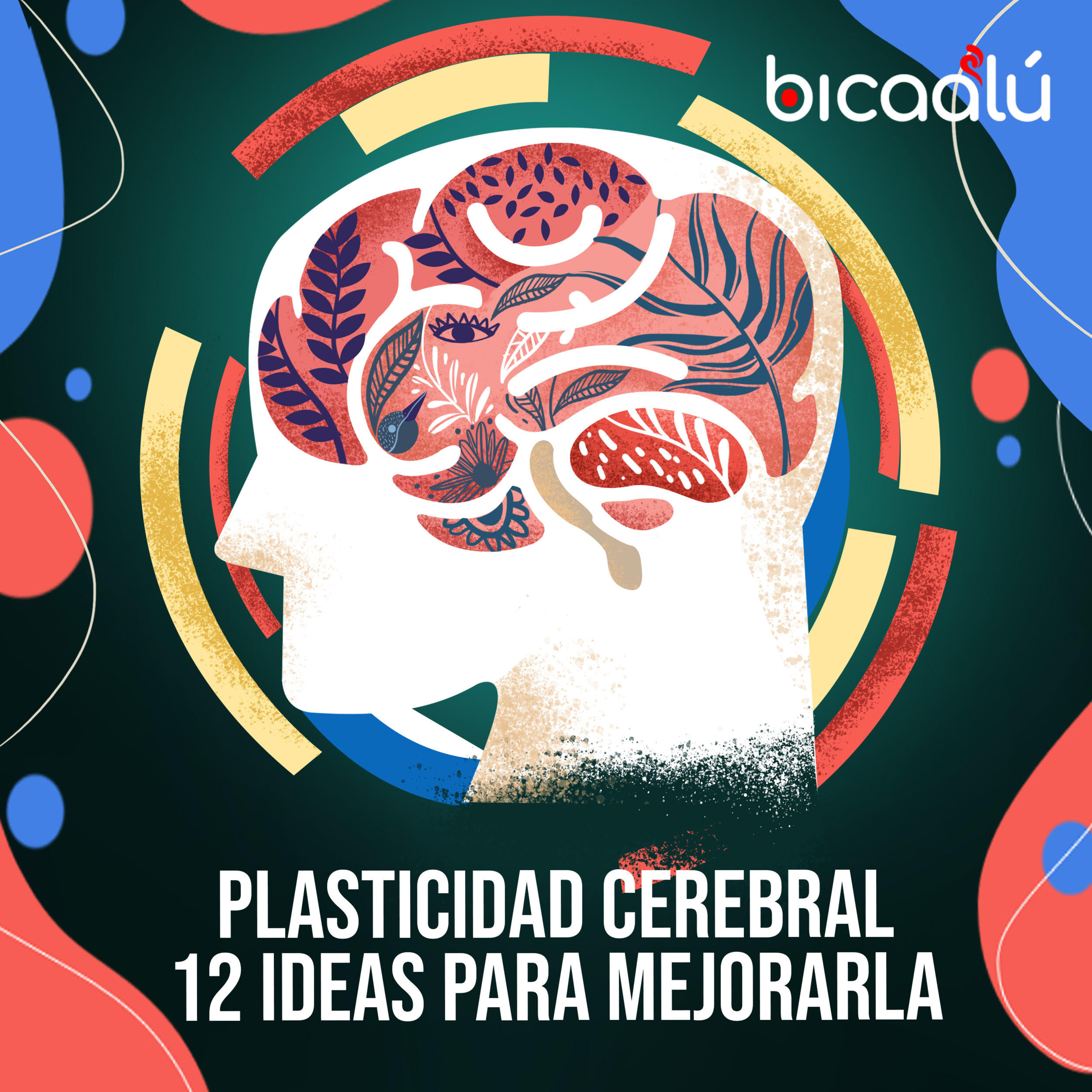 Revista Bicaalú (creatividad + inspiración)