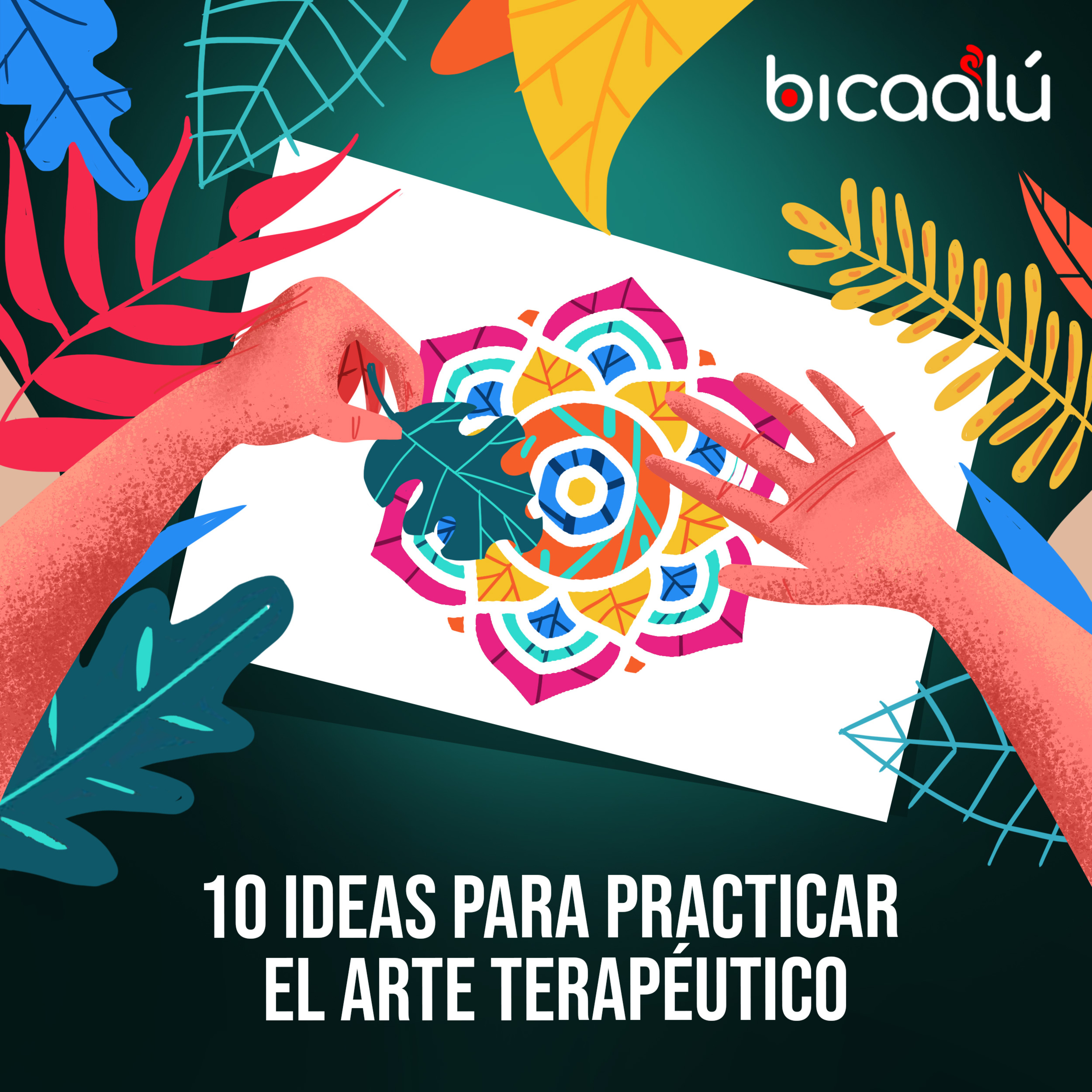 Revista Bicaalú (creatividad + inspiración)