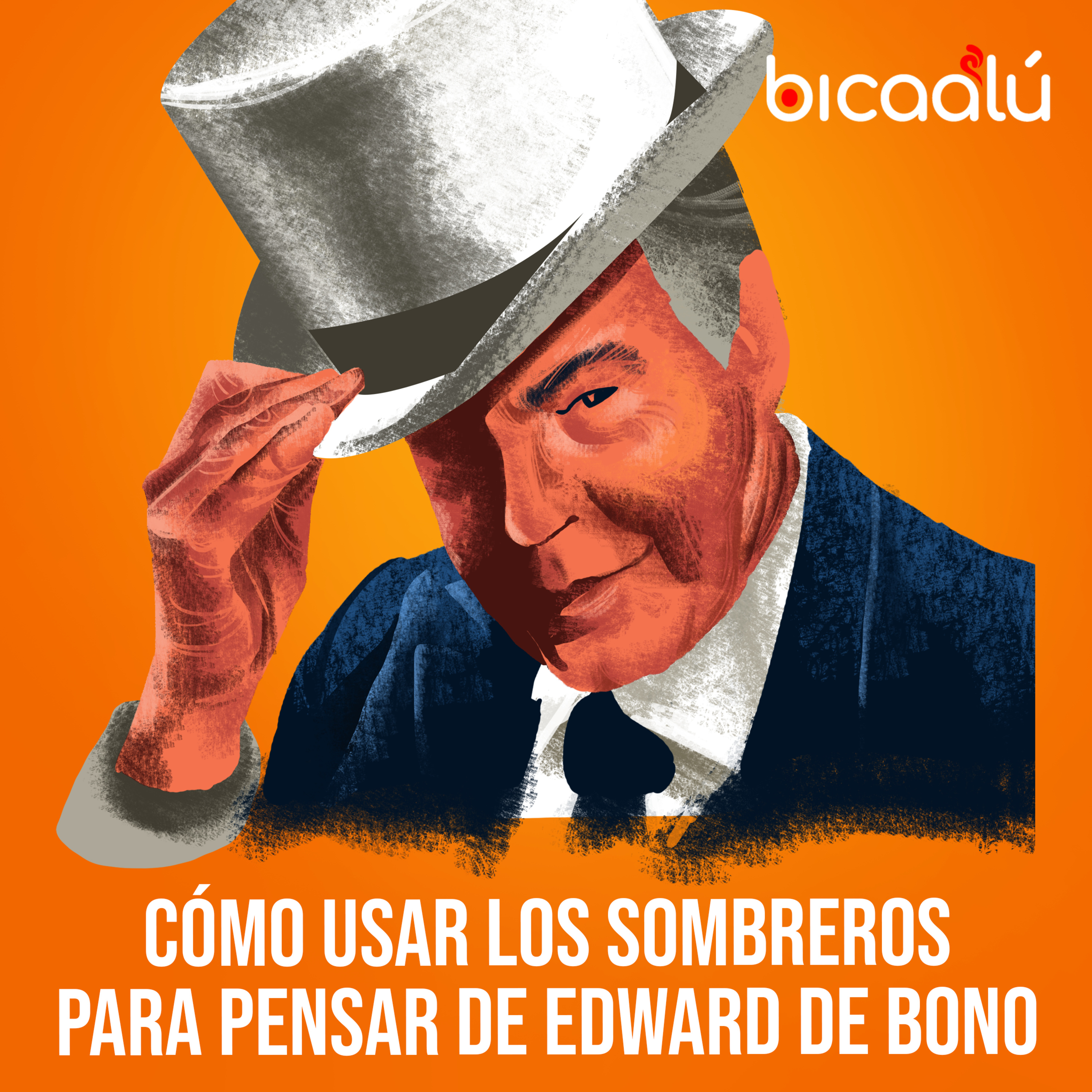 Revista Bicaalú (creatividad + inspiración)
