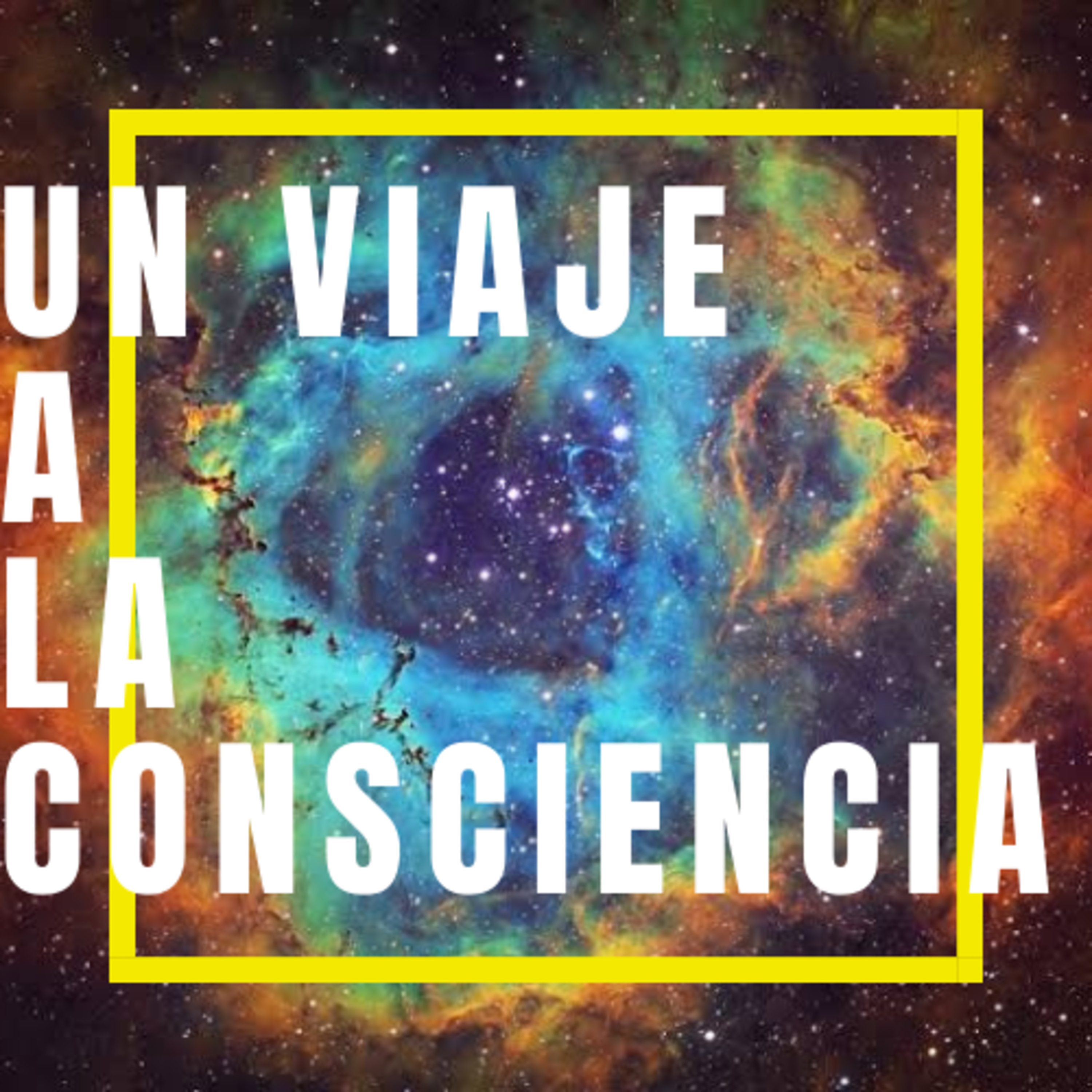 Un Viaje A La Consciencia