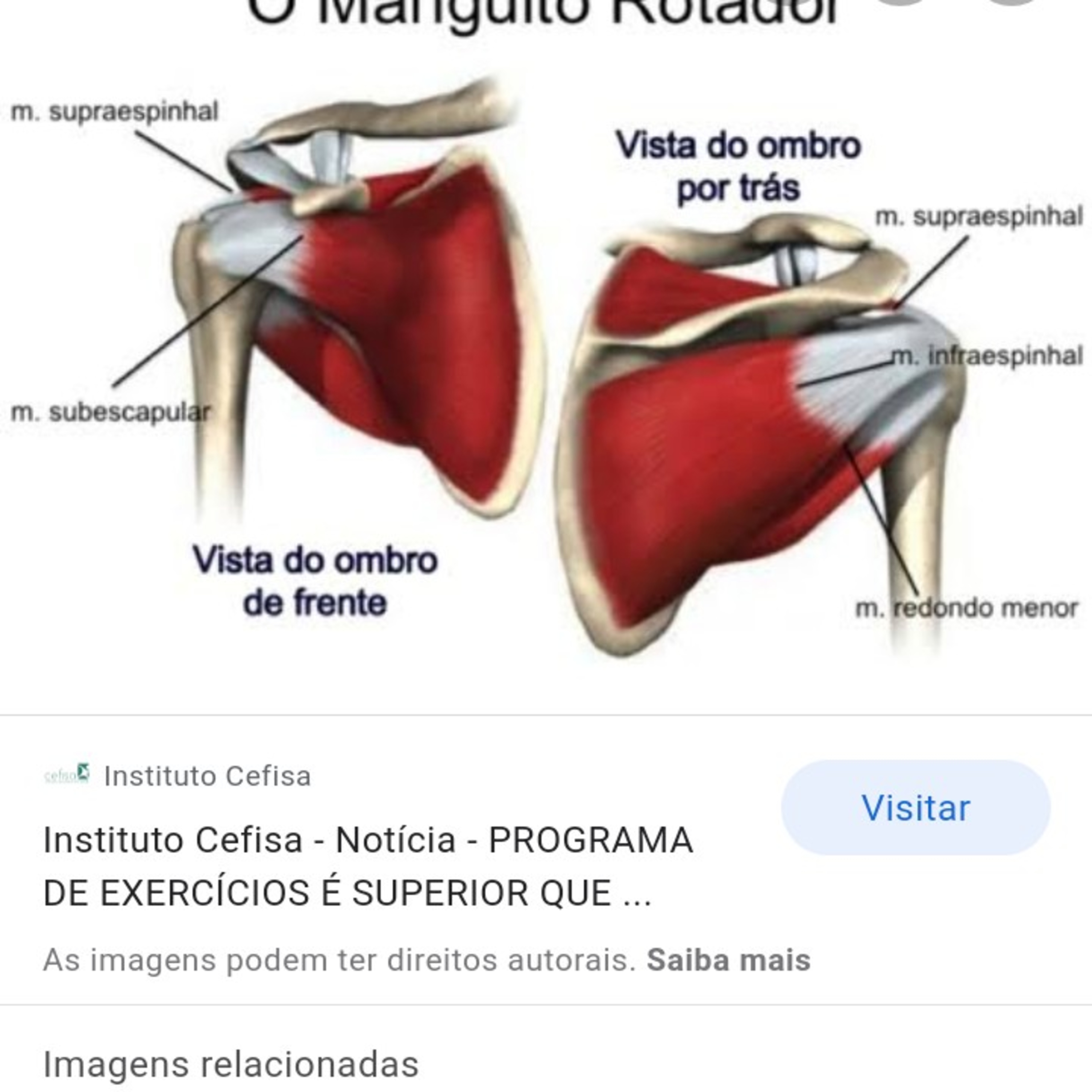 Músculos do MS- Manguito rotador  episode artwork