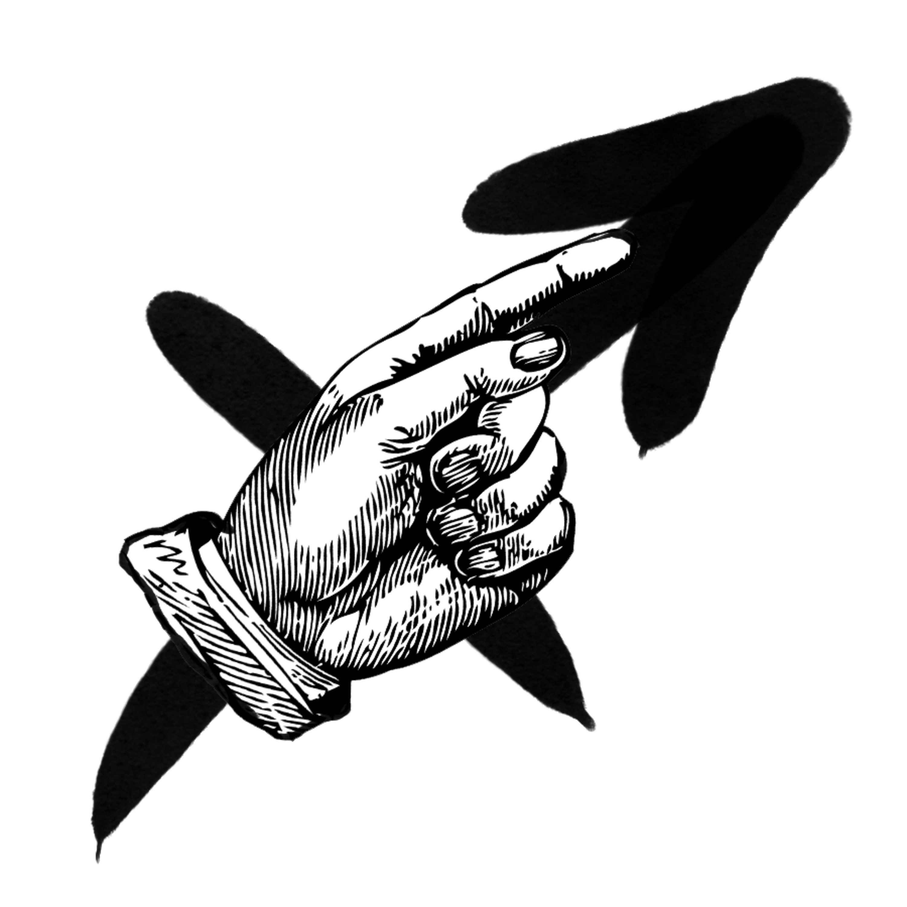 Tutto Quello Che Devi Sapere