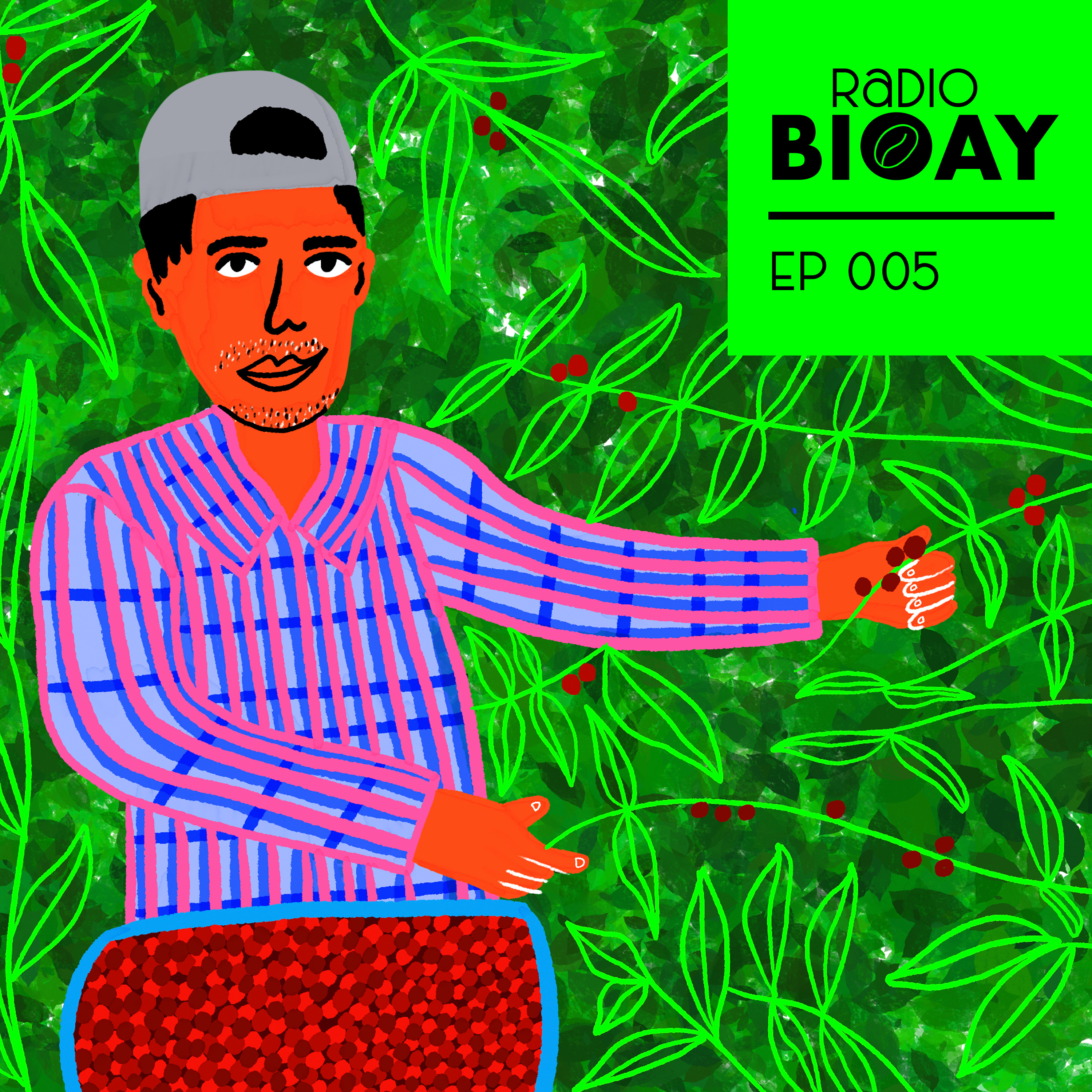 Radio BIOAY