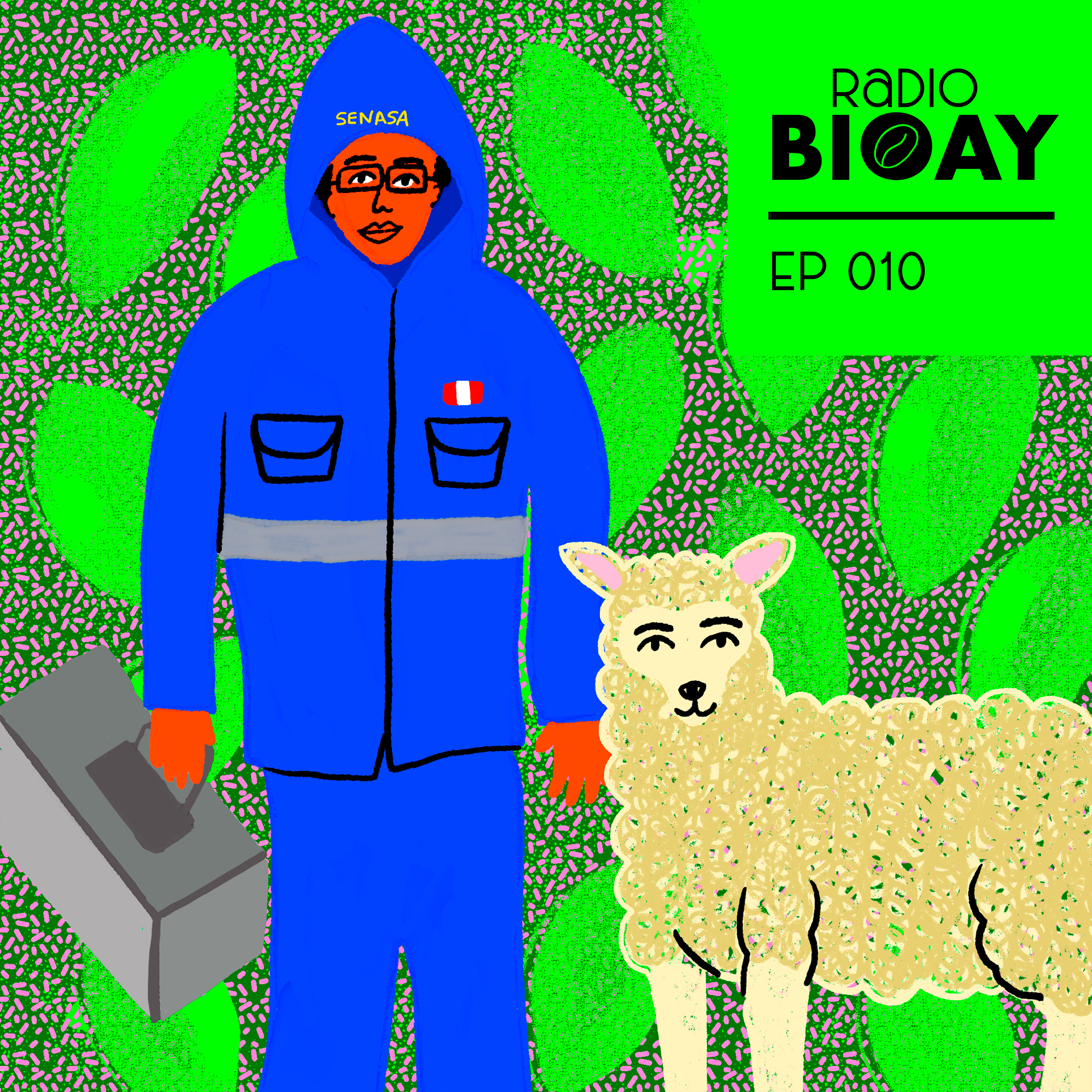 Radio BIOAY
