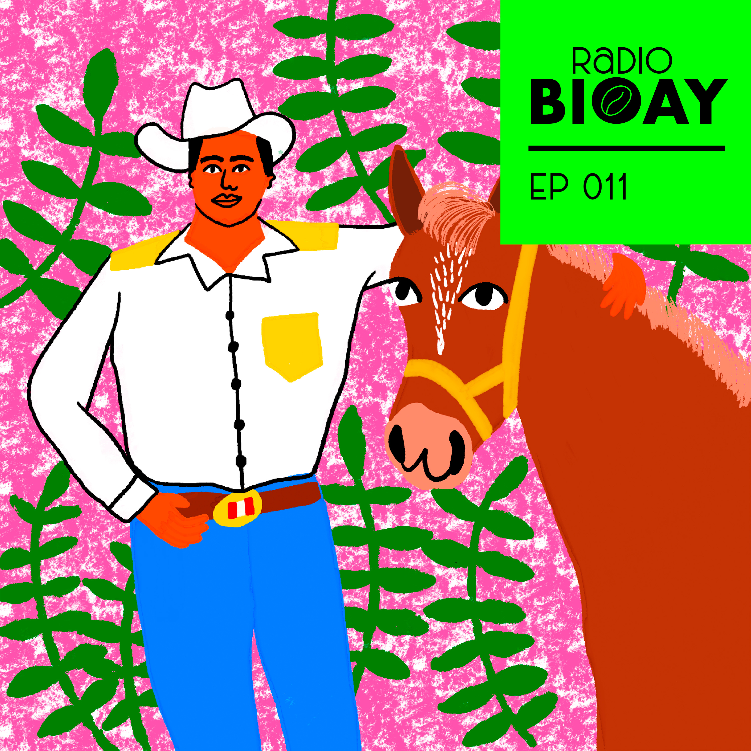 Radio BIOAY