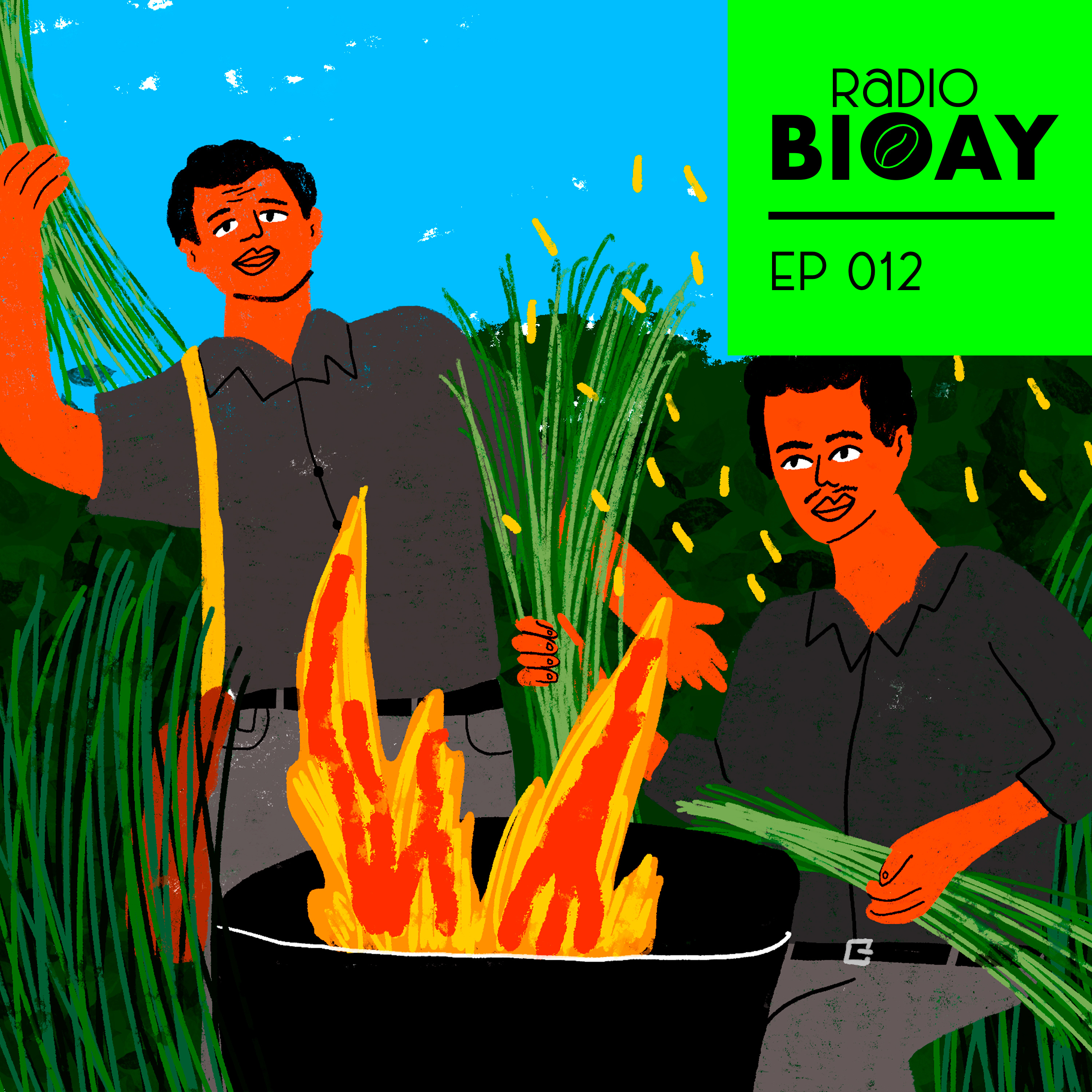 Radio BIOAY
