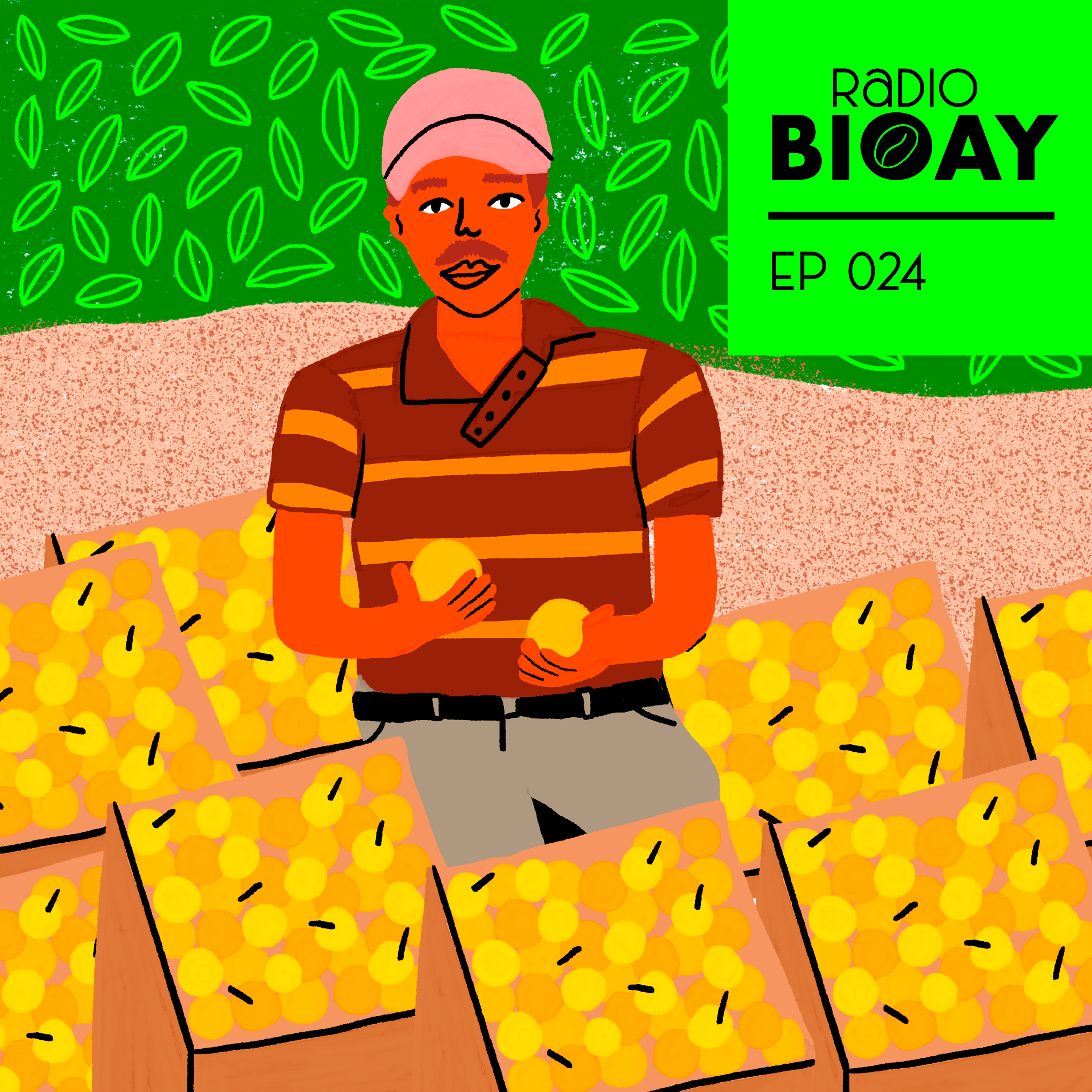Radio BIOAY
