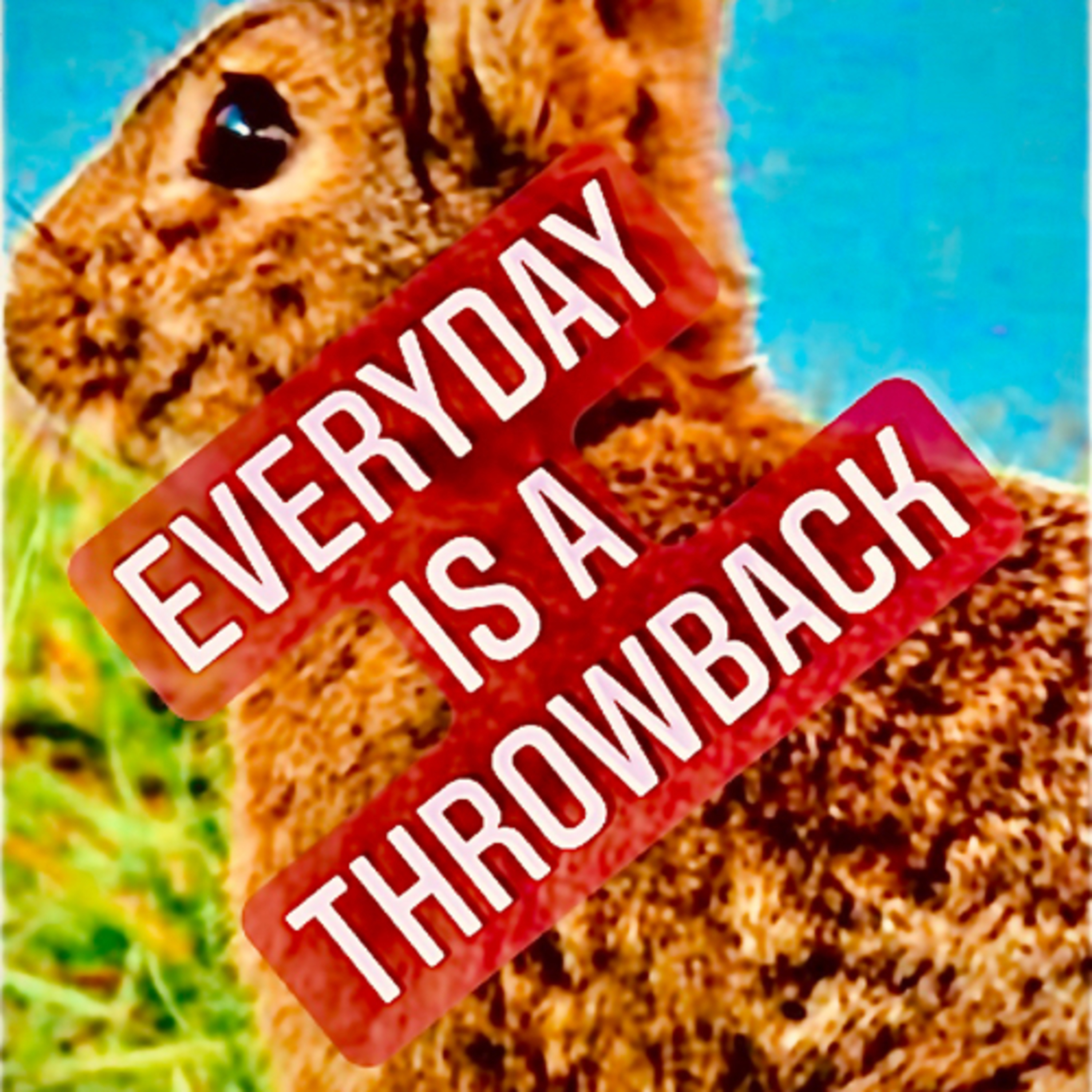 Everyday is a Throwback