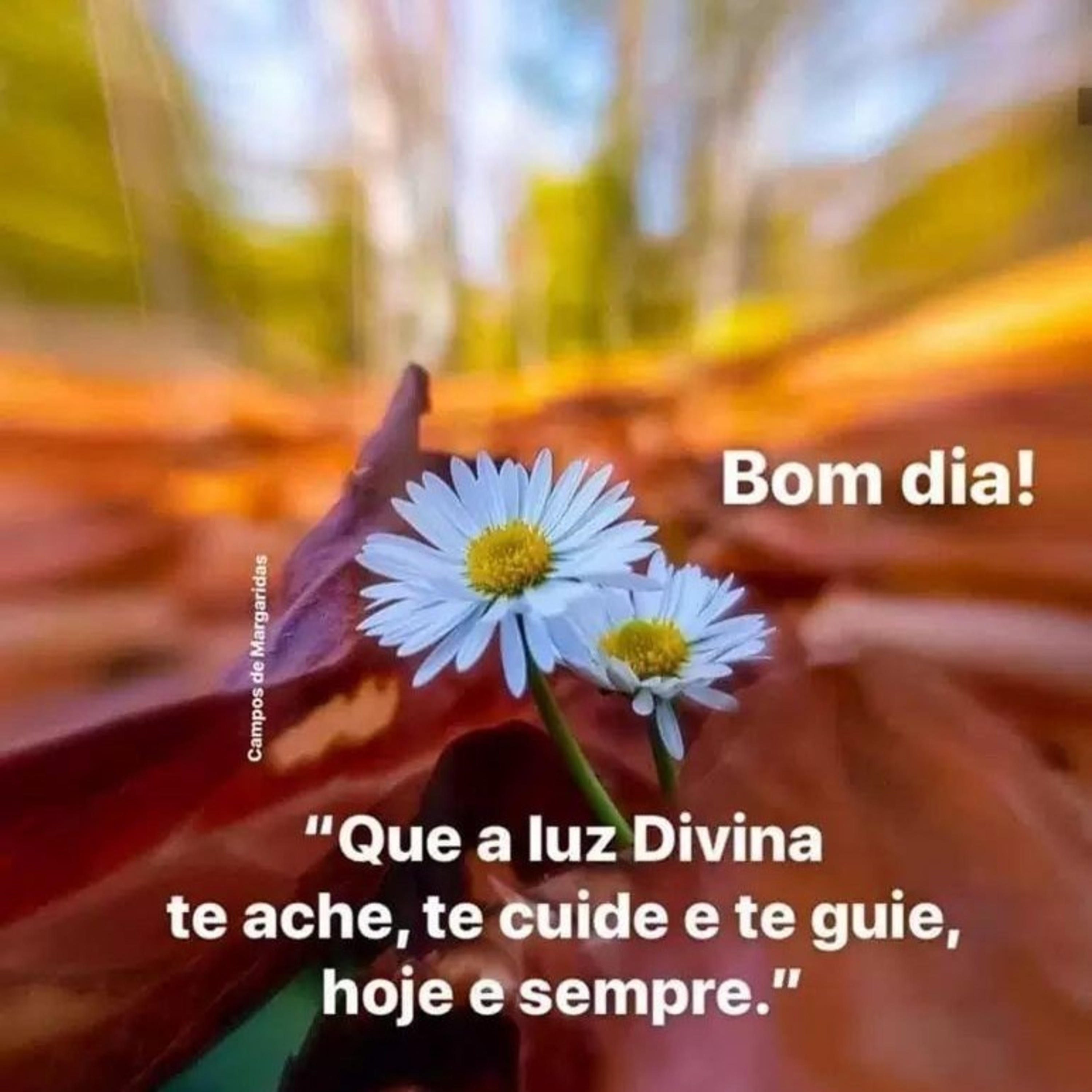 Café com Palavra Do Pai ☕