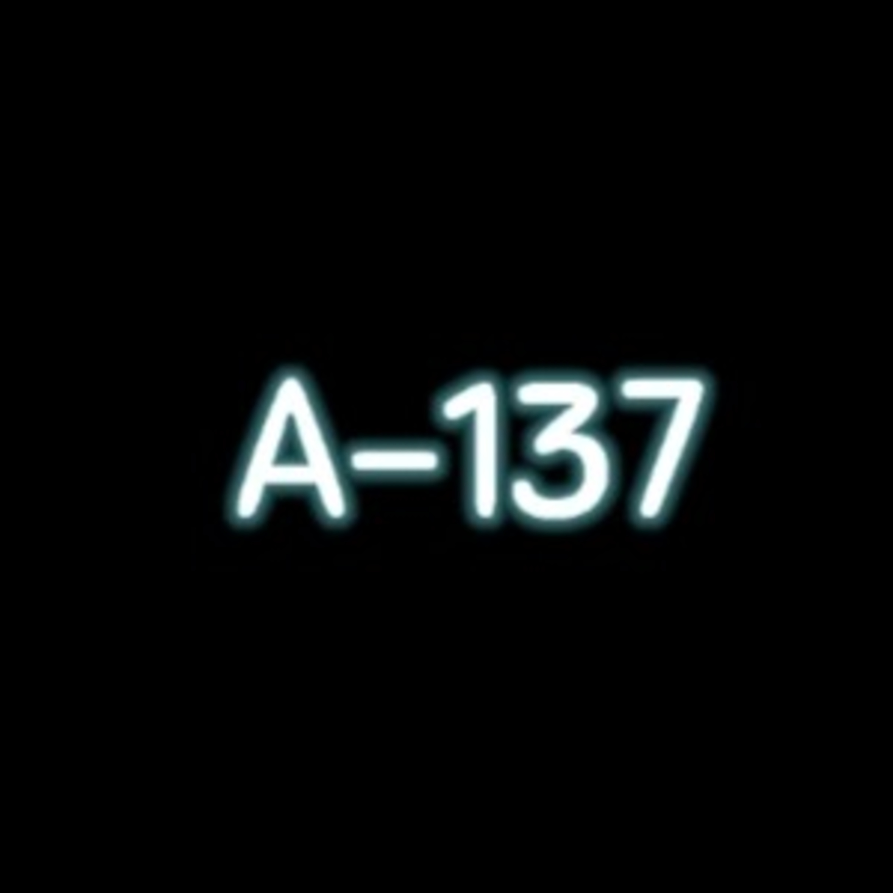 A-137