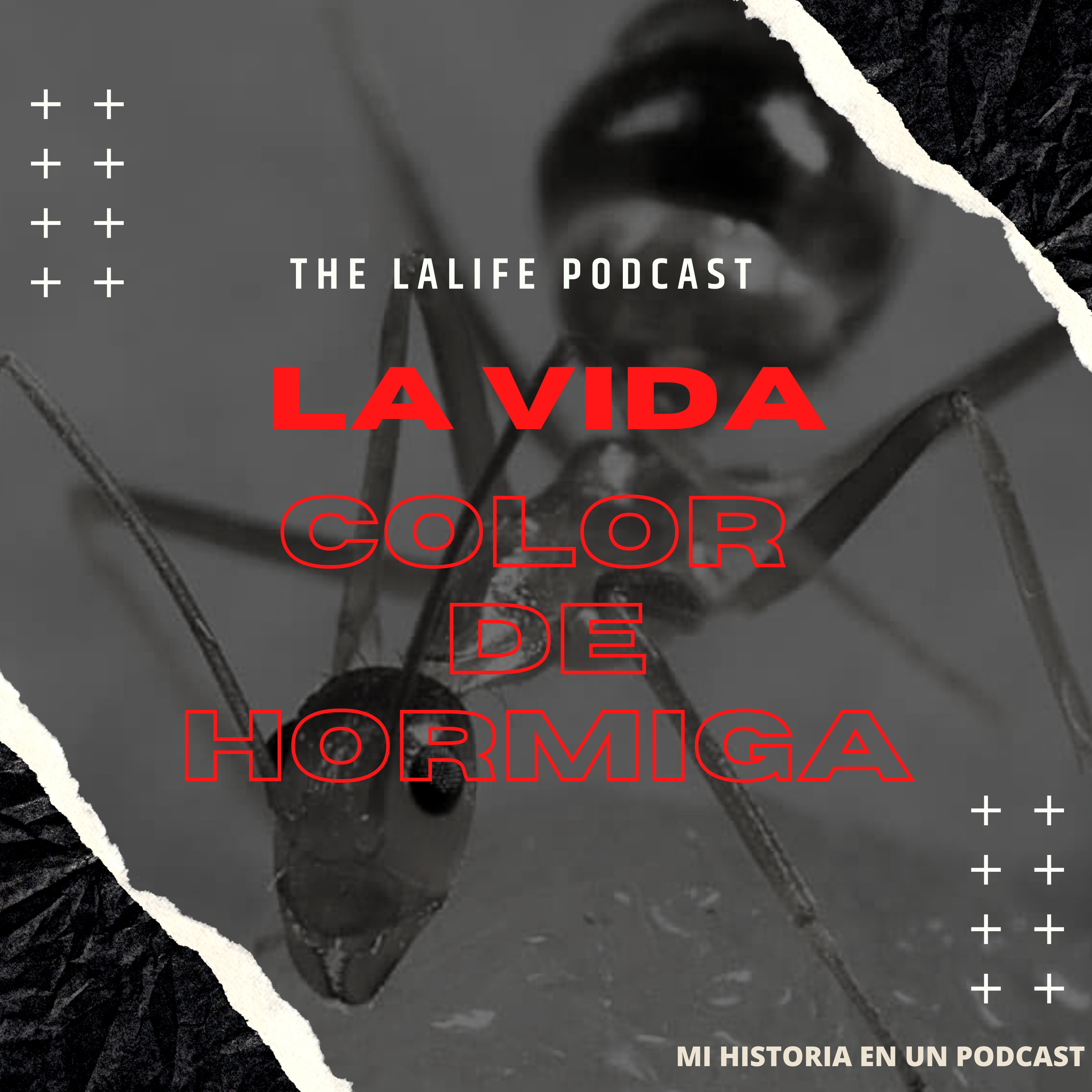 La Vida Color De Hormiga  episode artwork