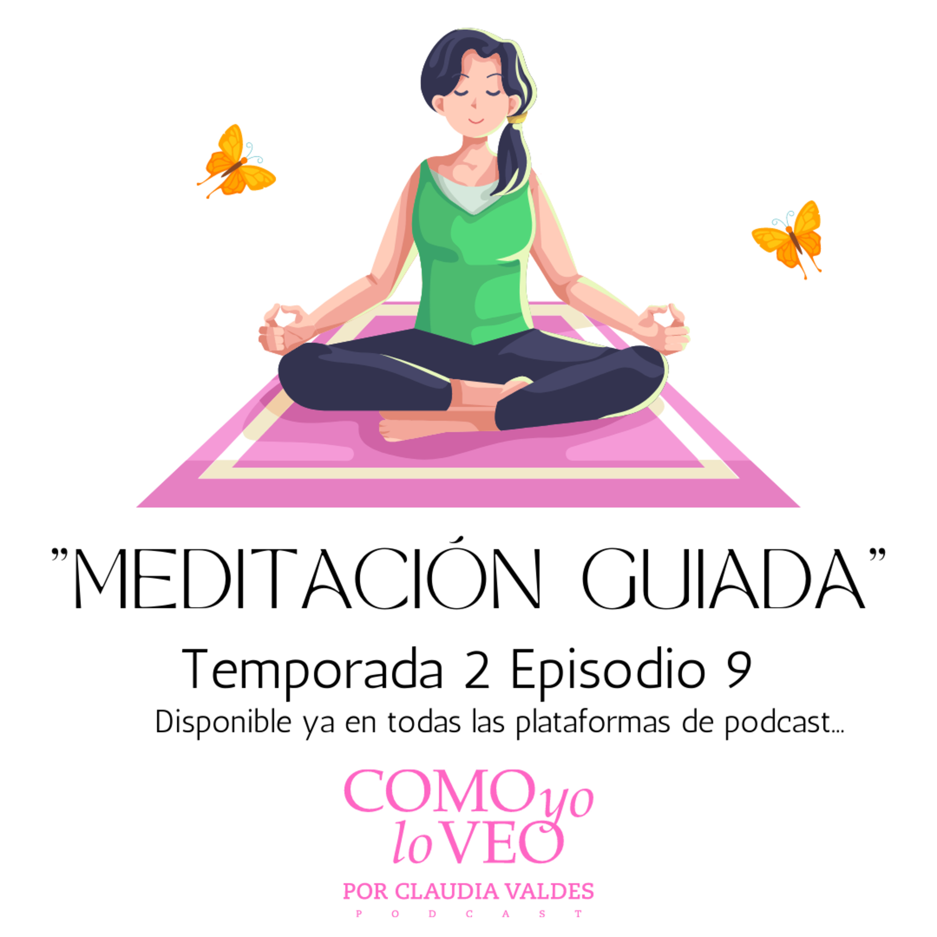Como yo lo Veo con Claudia Valdes