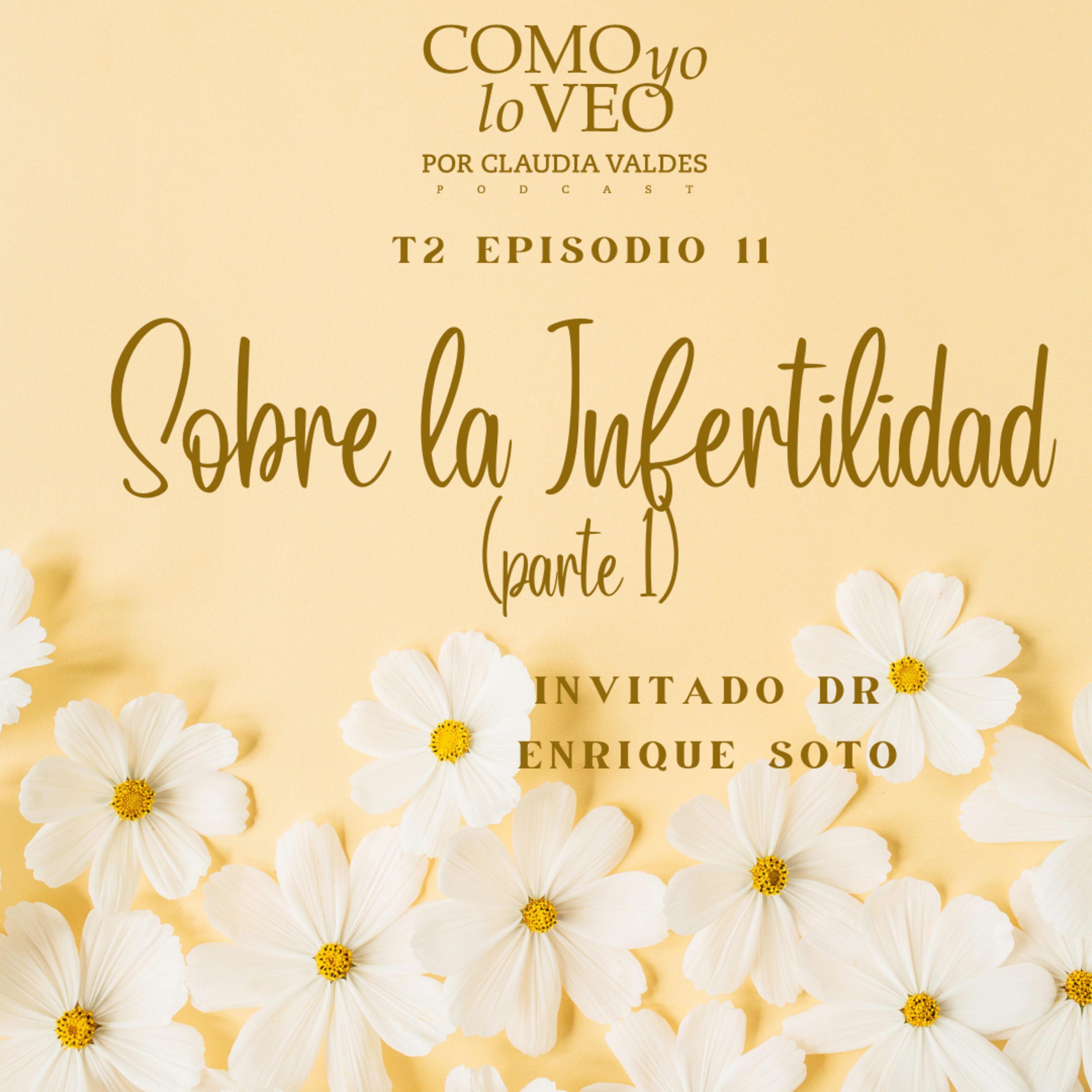 Como yo lo Veo con Claudia Valdes
