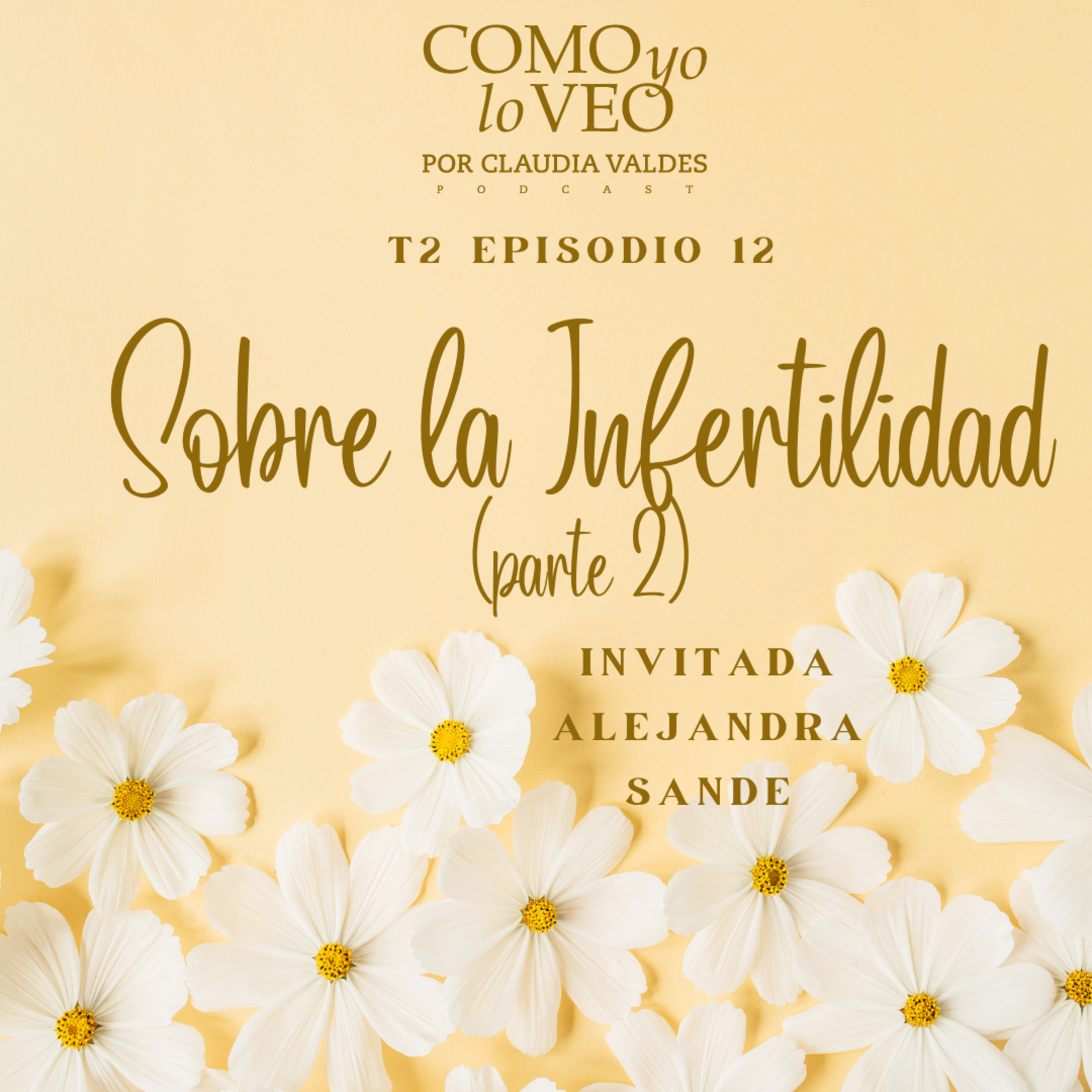 Como yo lo Veo con Claudia Valdes