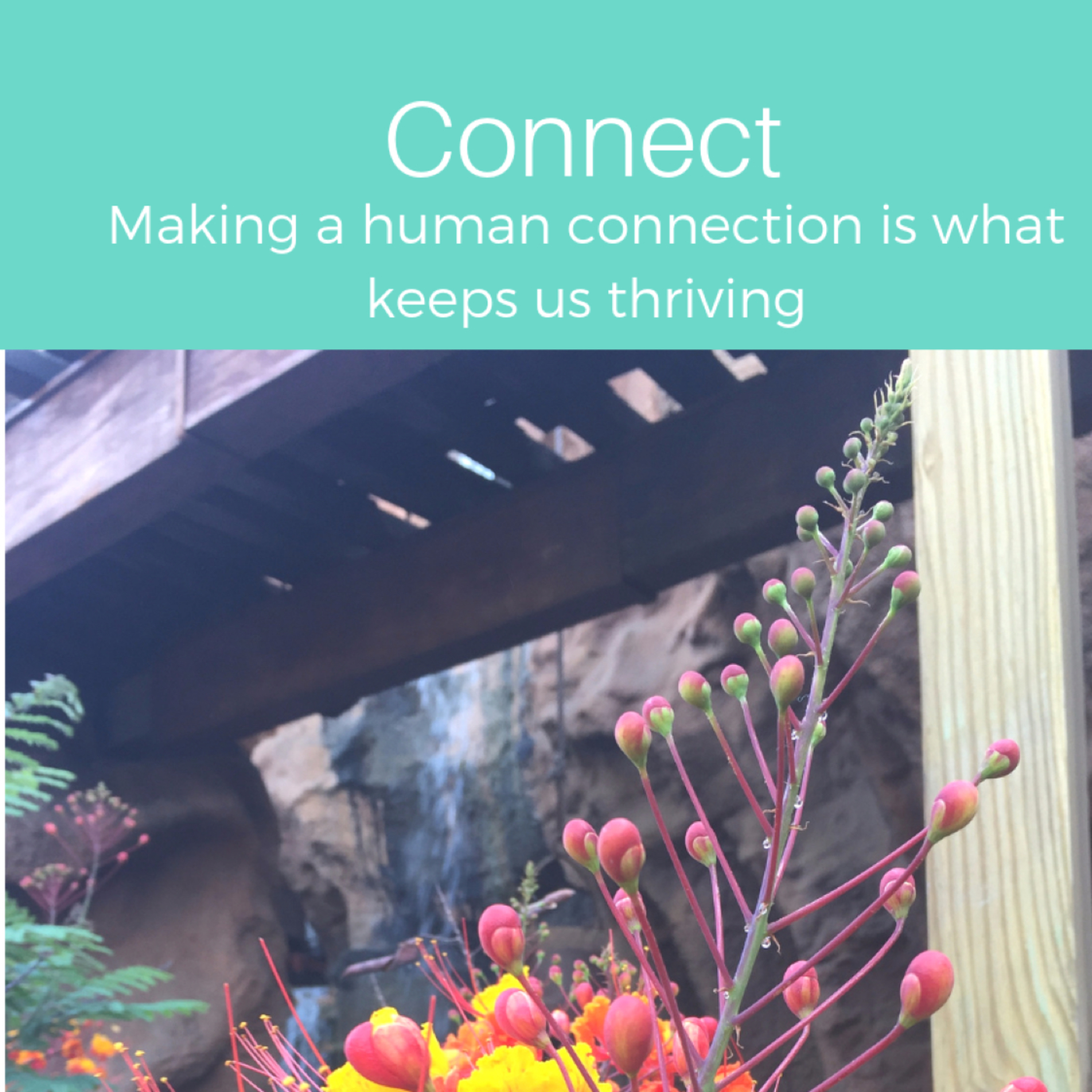 Inspiring Adventures with Melissa Reyes