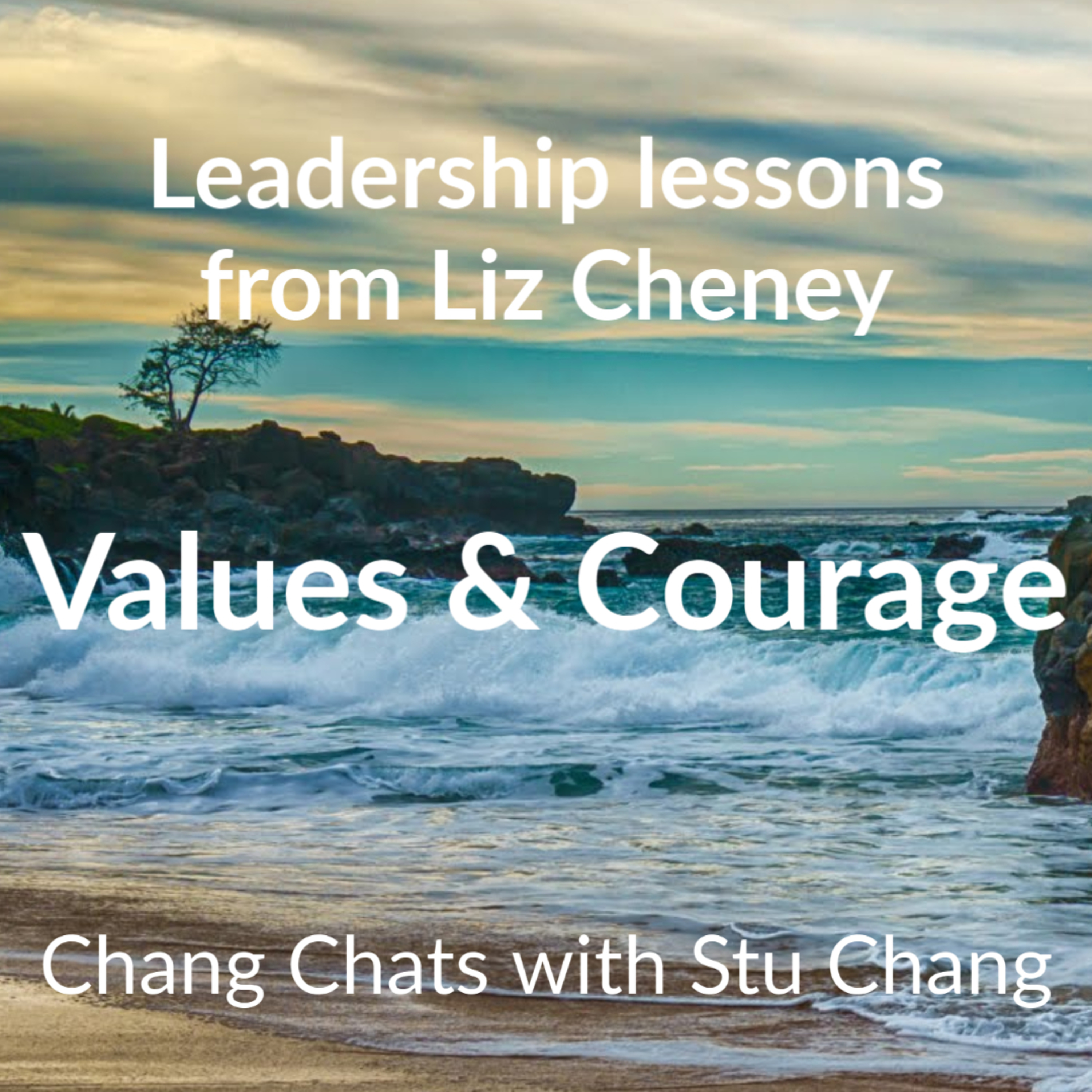 Chang Chats with Stu Chang