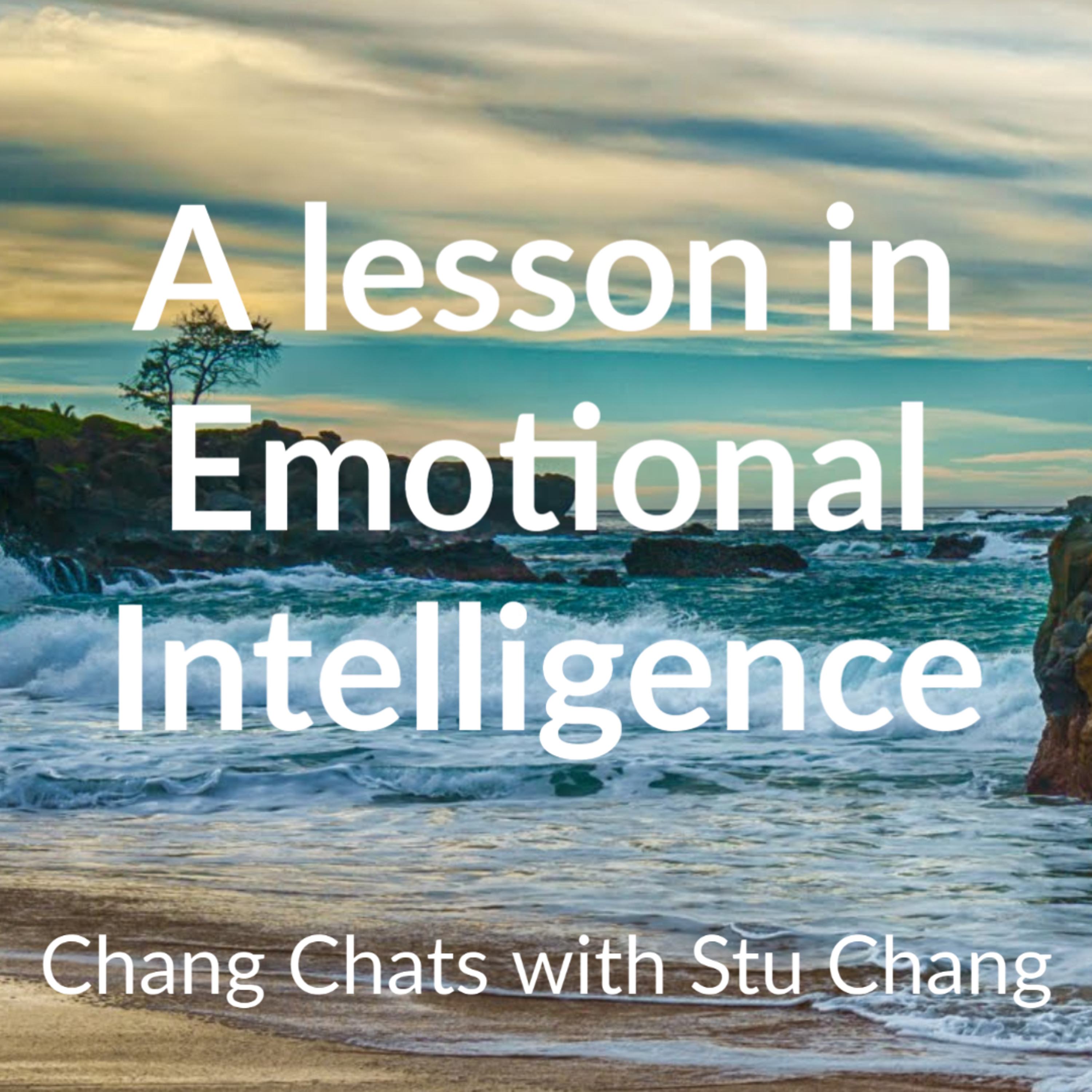Chang Chats with Stu Chang