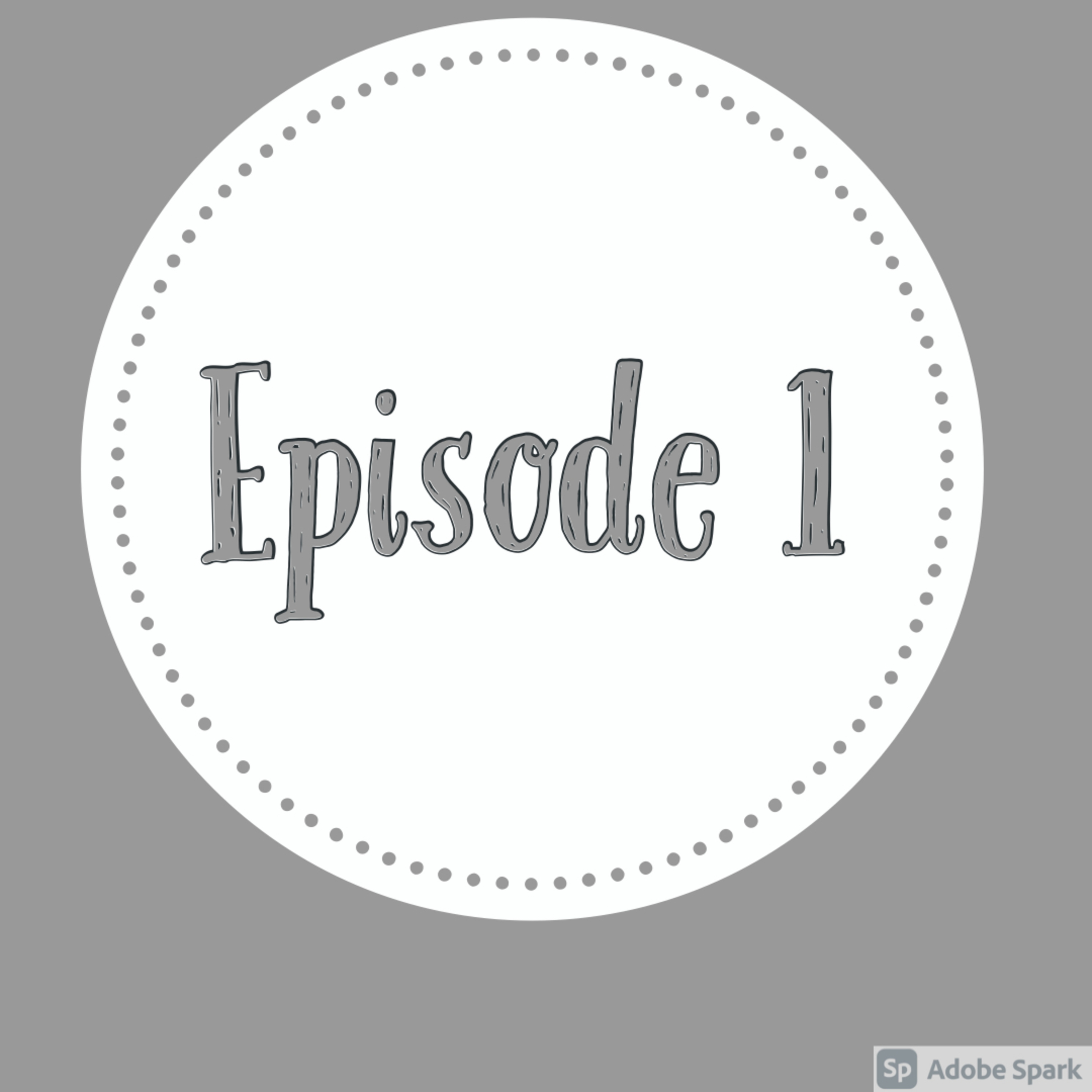 Episode 1 by Dhruv Krishnan and Thohen Maisnam