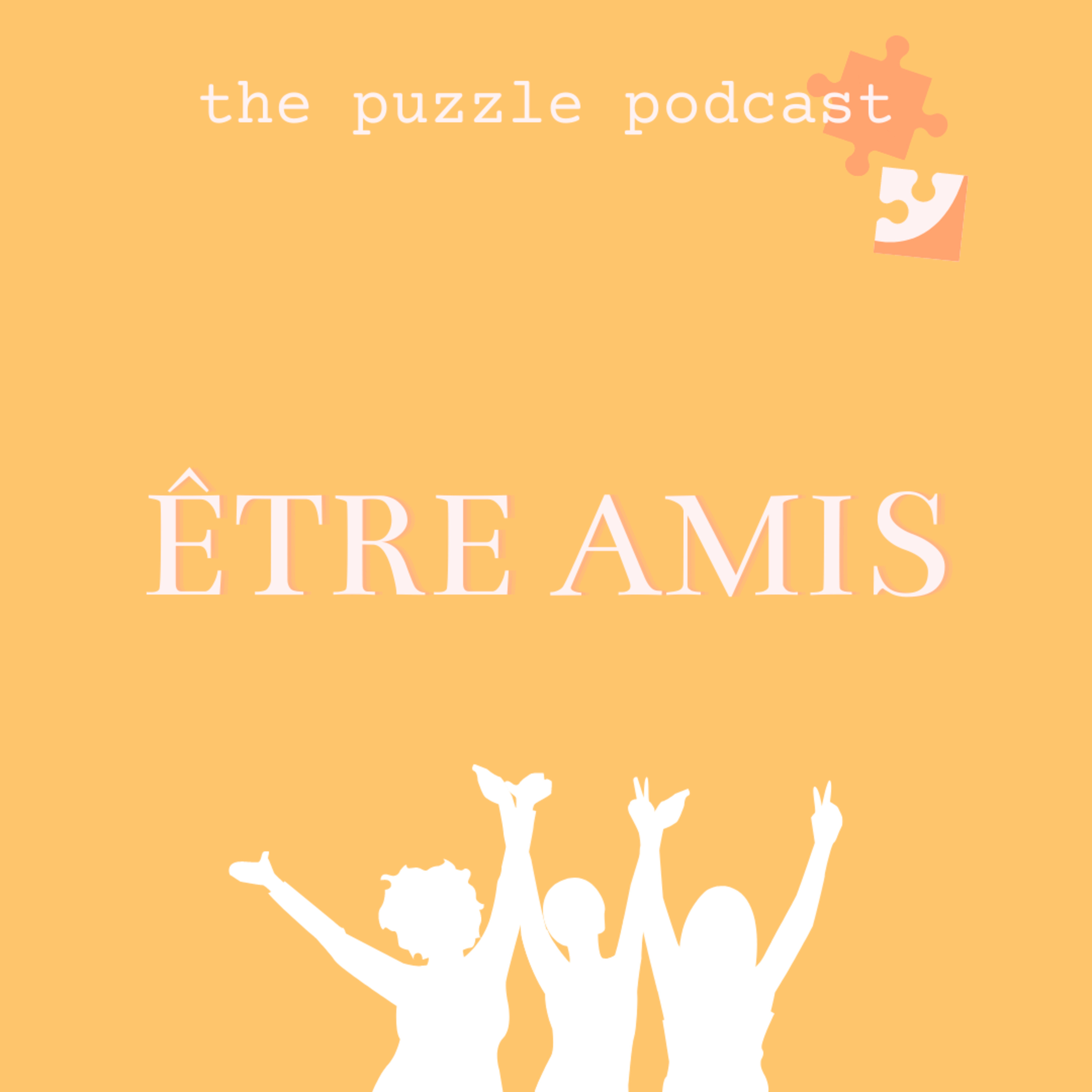 THE PUZZLE PODCAST 🧩