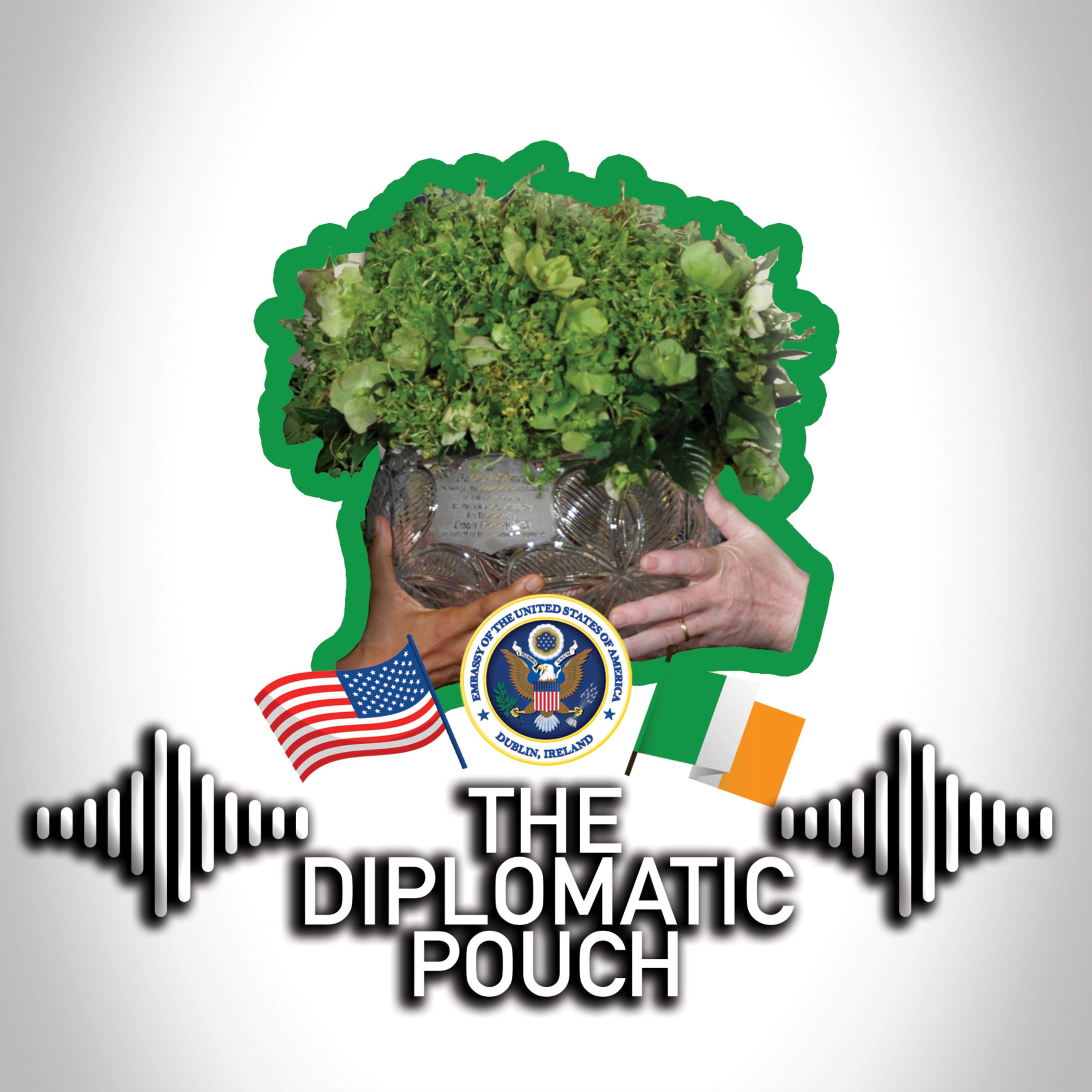 The Diplomatic Pouch