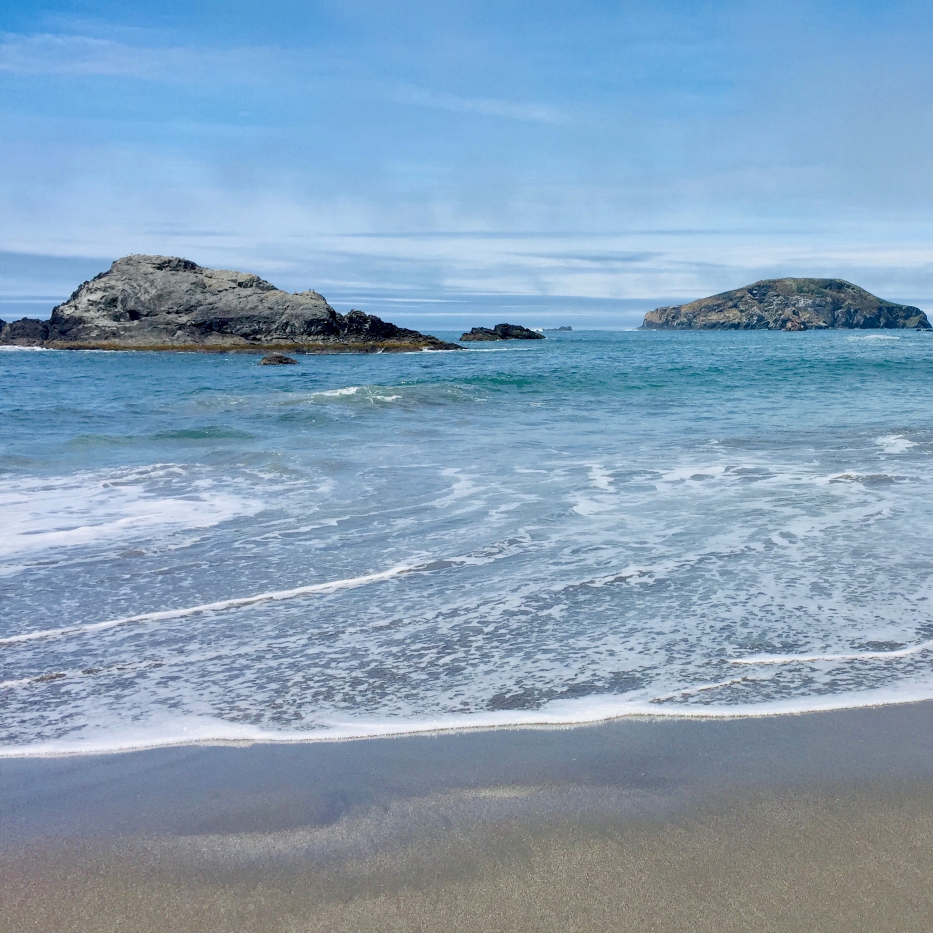 En Sincronía con Claudia Cervantes
