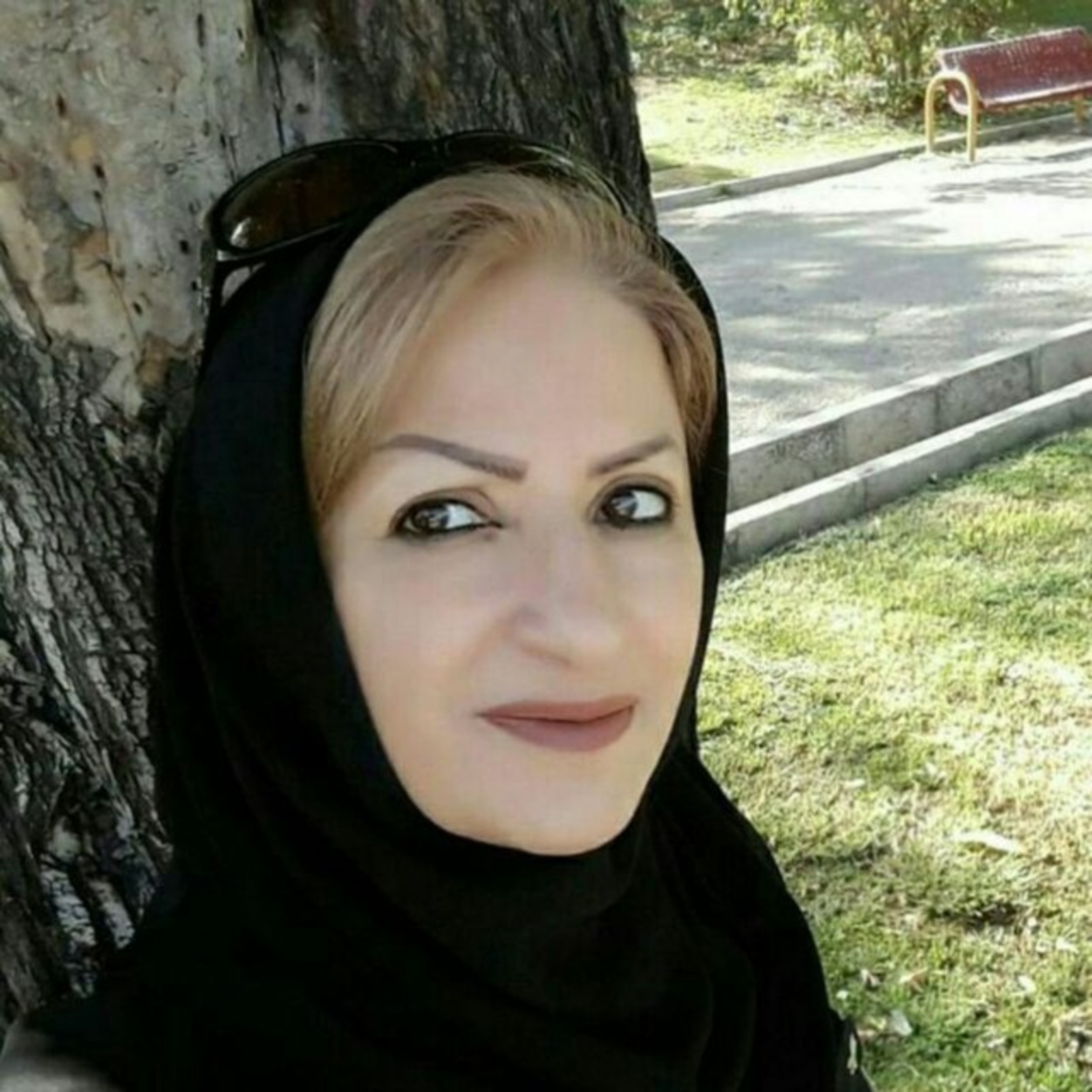 کاور مجله دانستنیها
