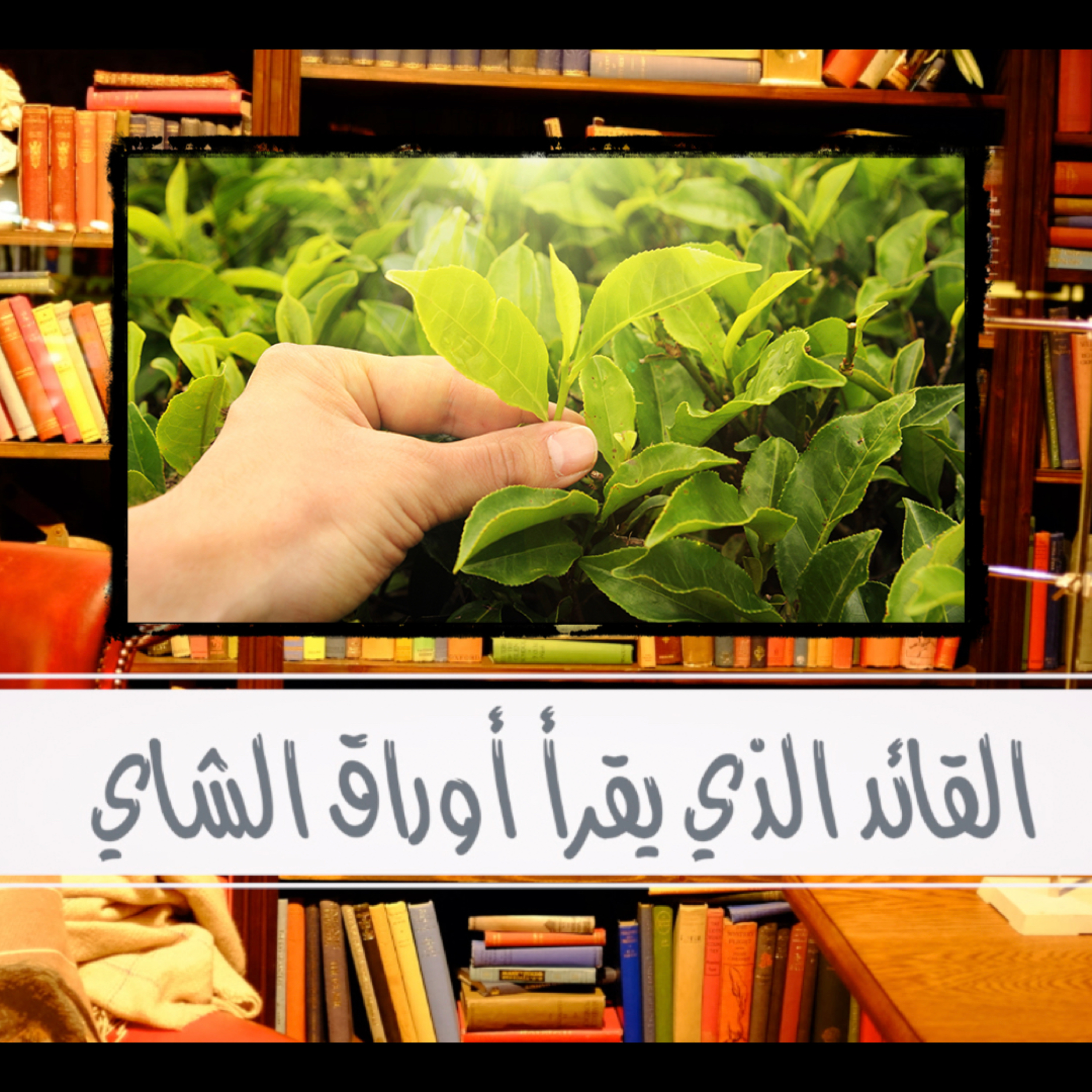9. القائد الذي يقرأ أوراق الشاي