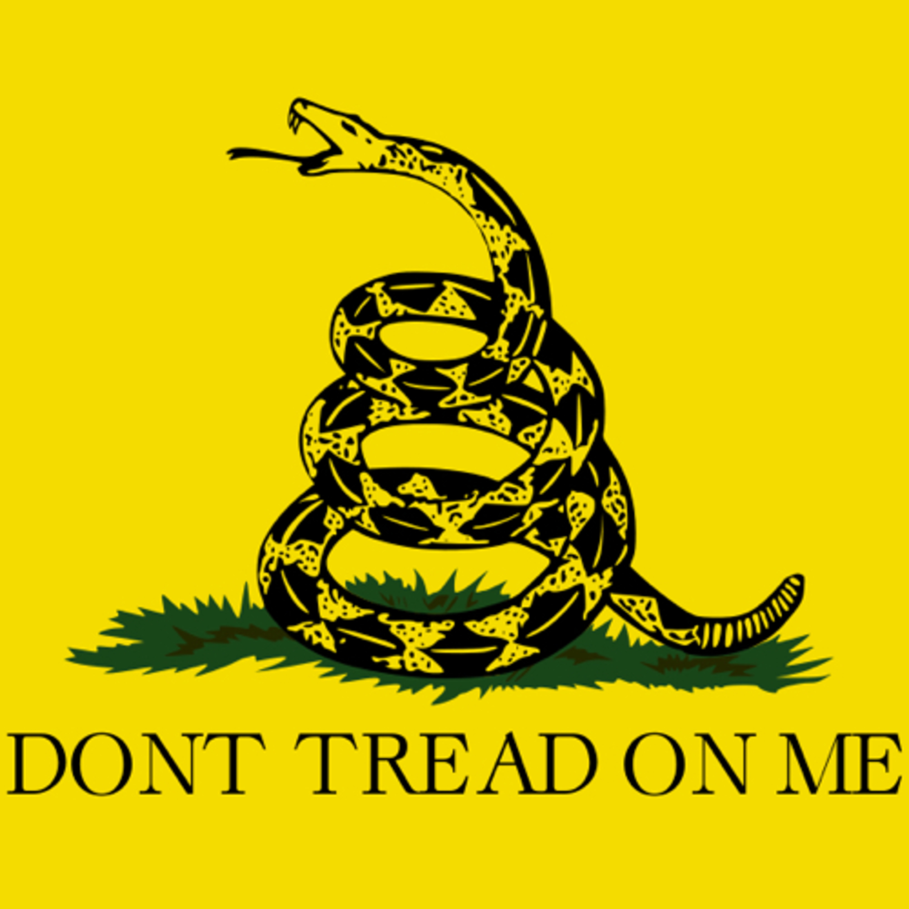 Ep. 21 - Don’t Tread On Me 🐍  episode artwork