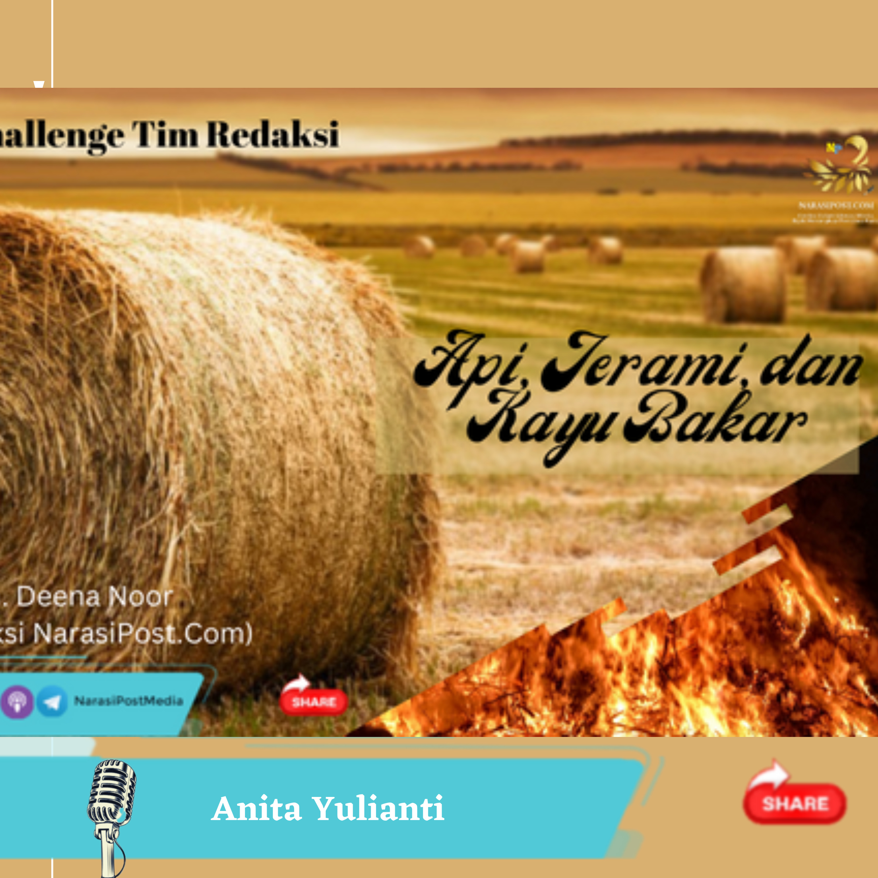 Api, Jerami, dan Kayu Bakar episode artwork