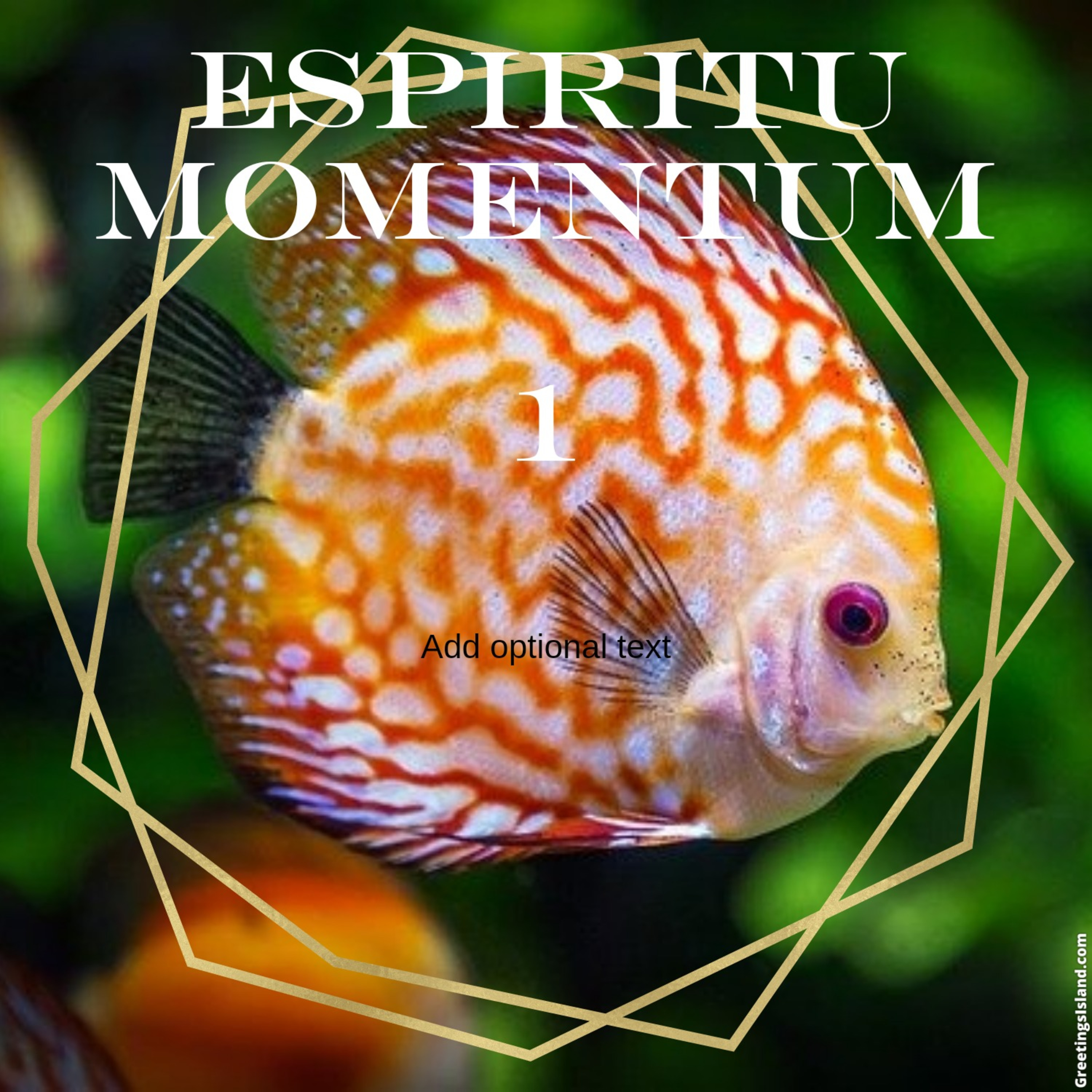 DE-CODE Meditation © * under your skin * Manuela Lopez + Espiritu Momentum