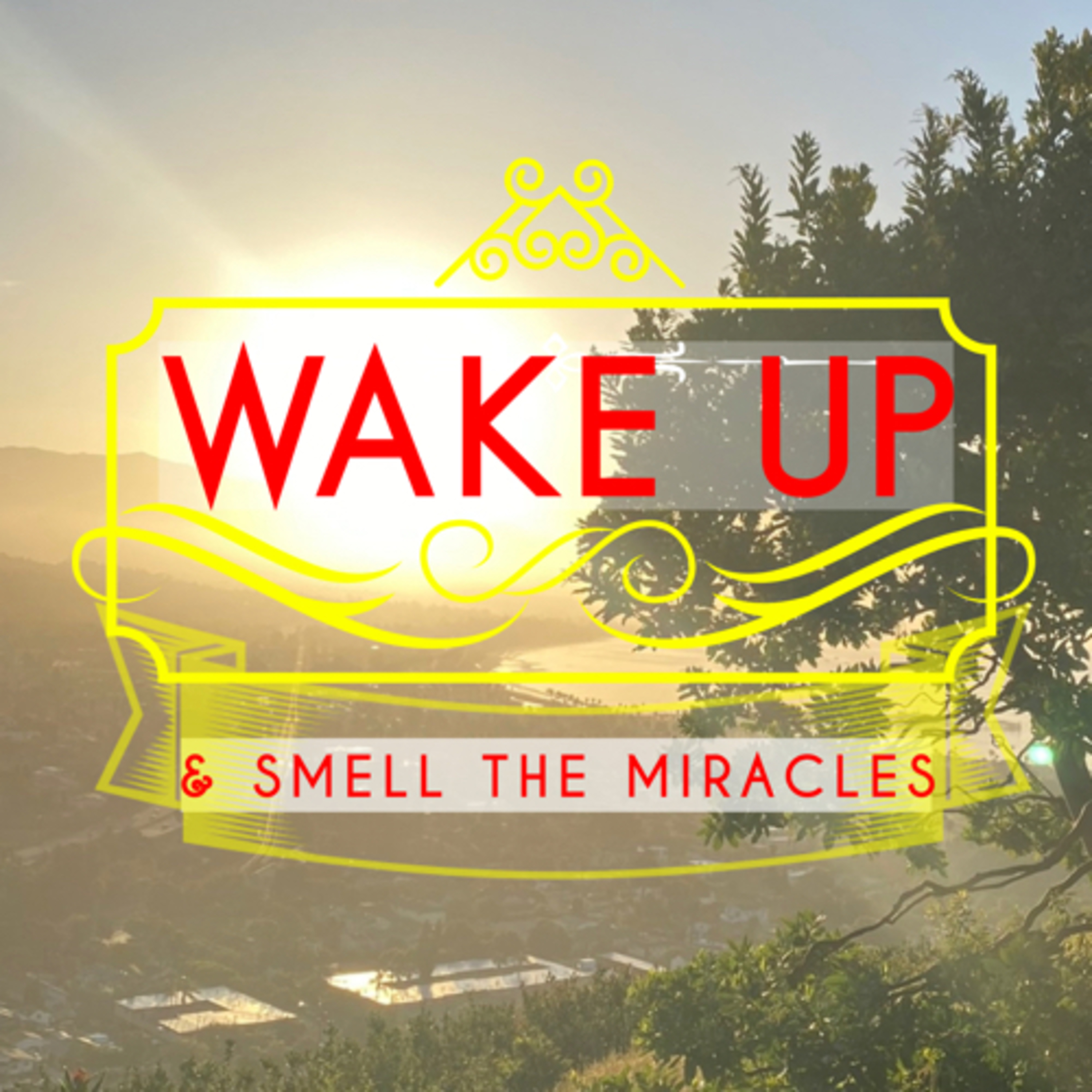 Wake Up & Smell The Miracles
