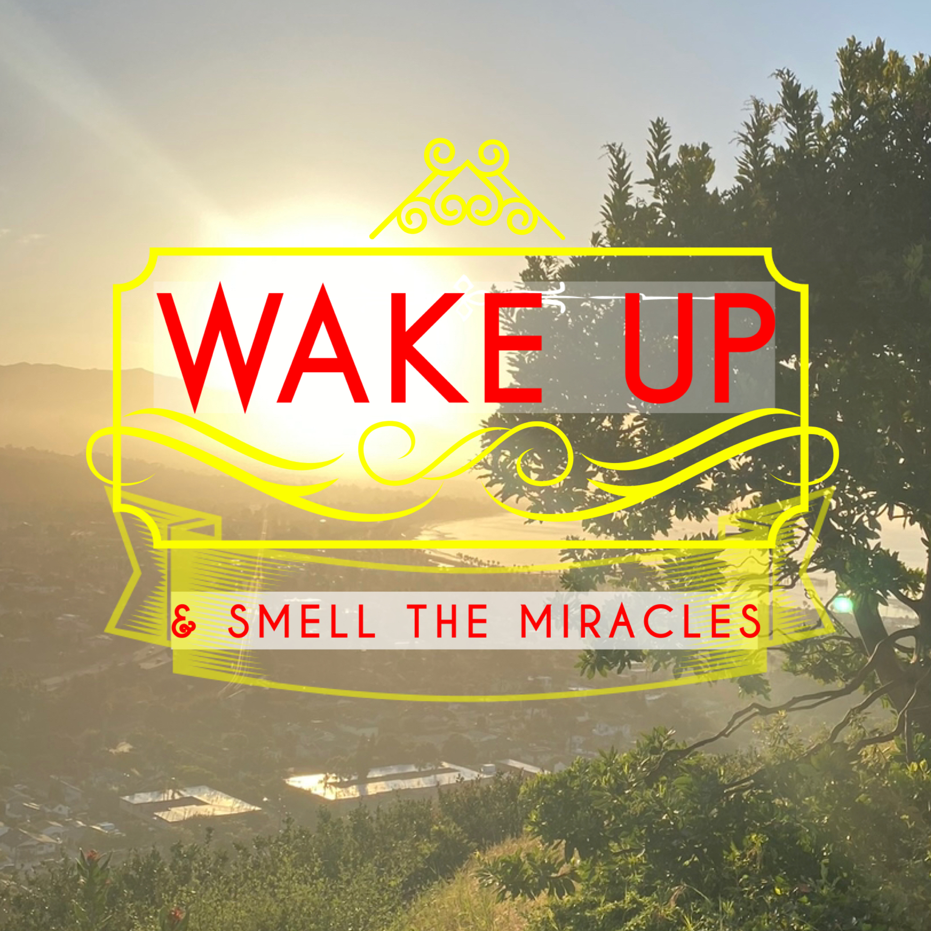 Wake Up & Smell The Miracles