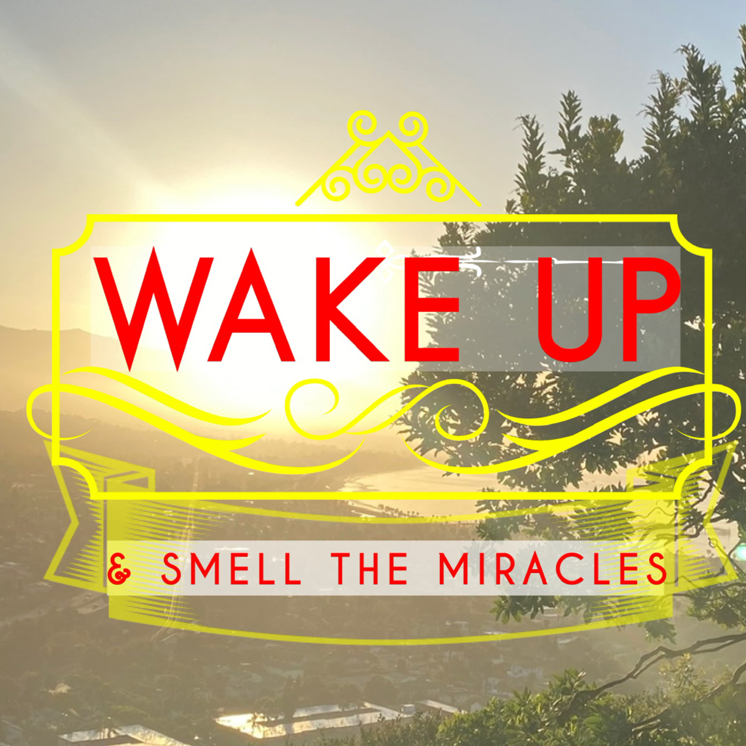 Wake Up & Smell The Miracles