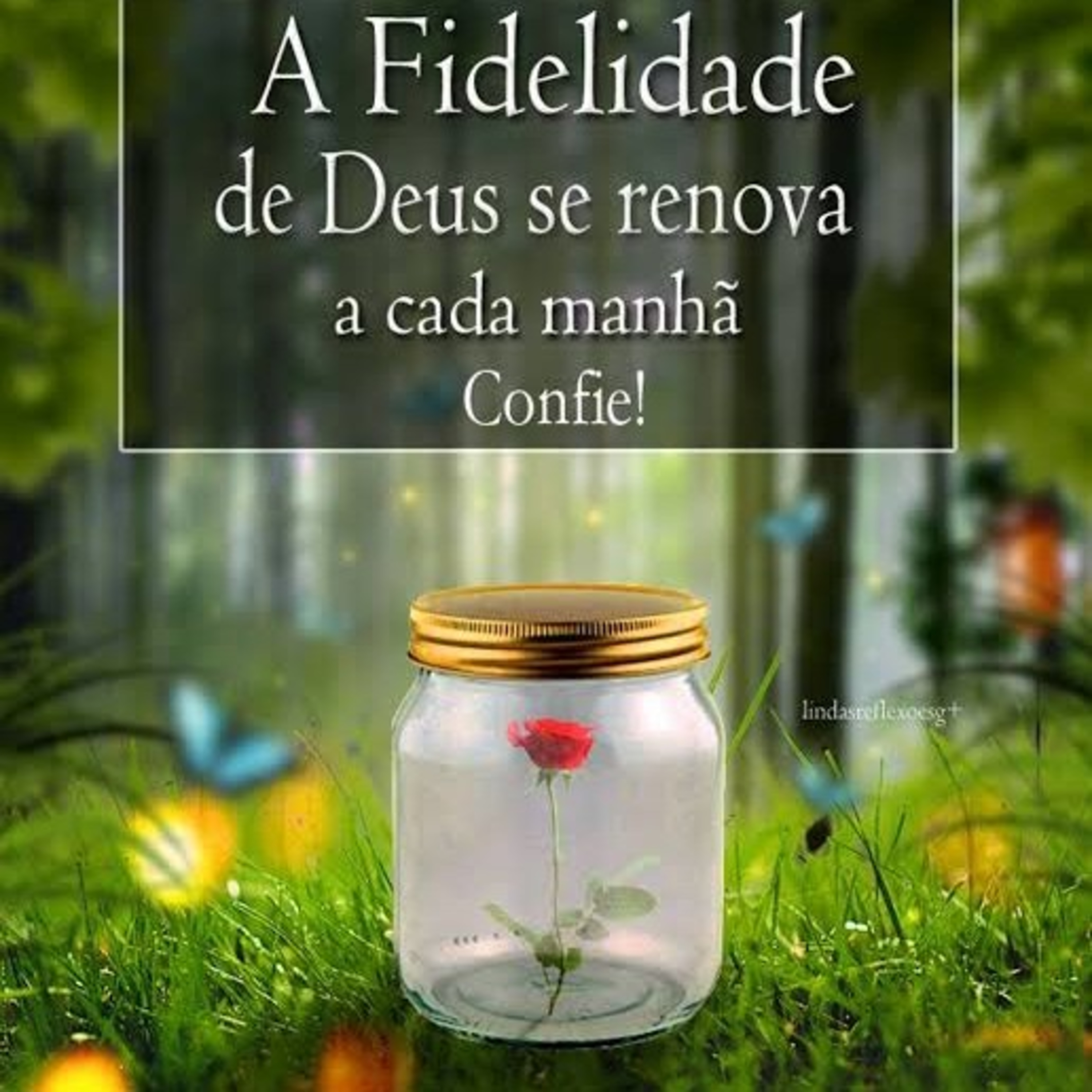 FIDELIDADE episode artwork