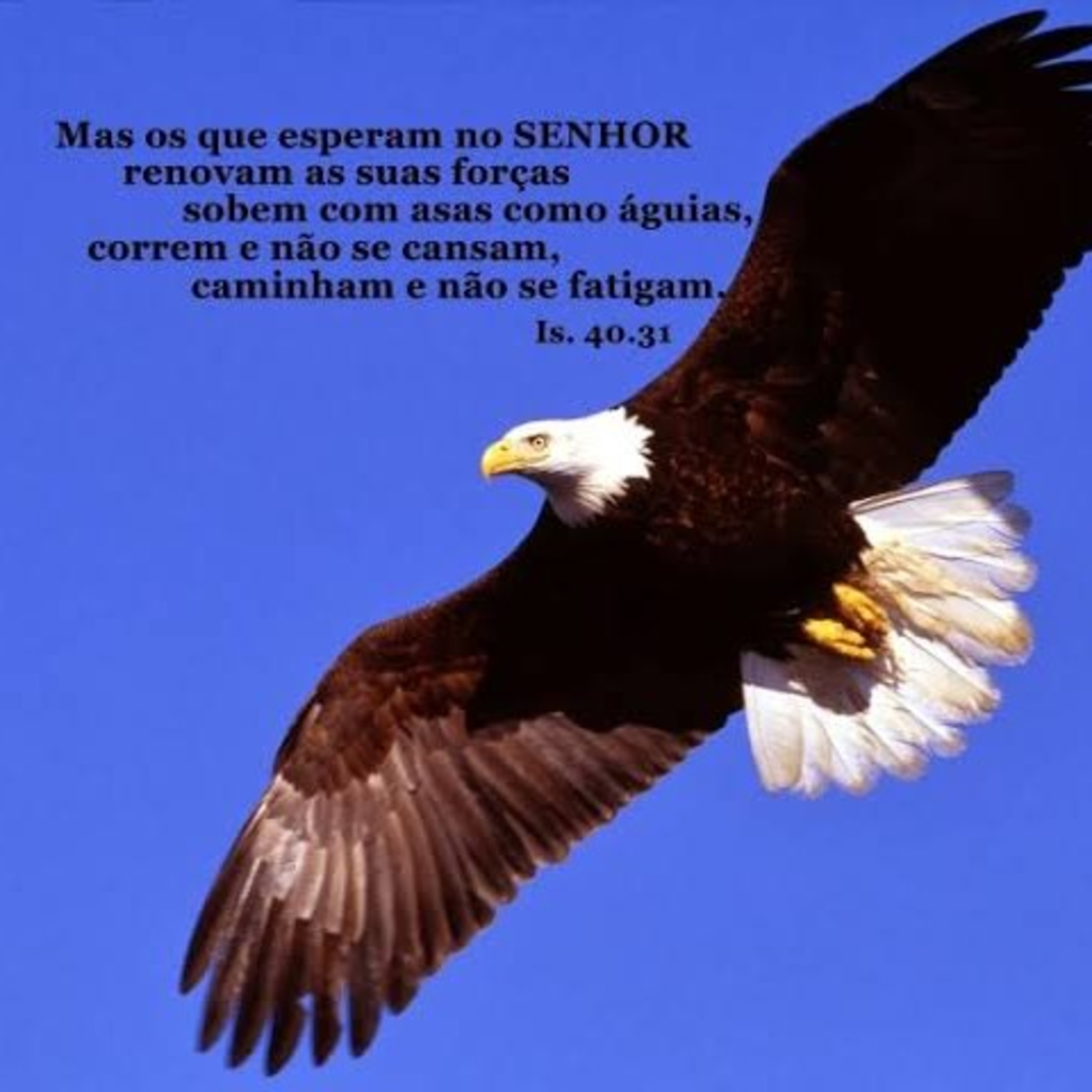 RENOVADOS POR JESUS episode artwork