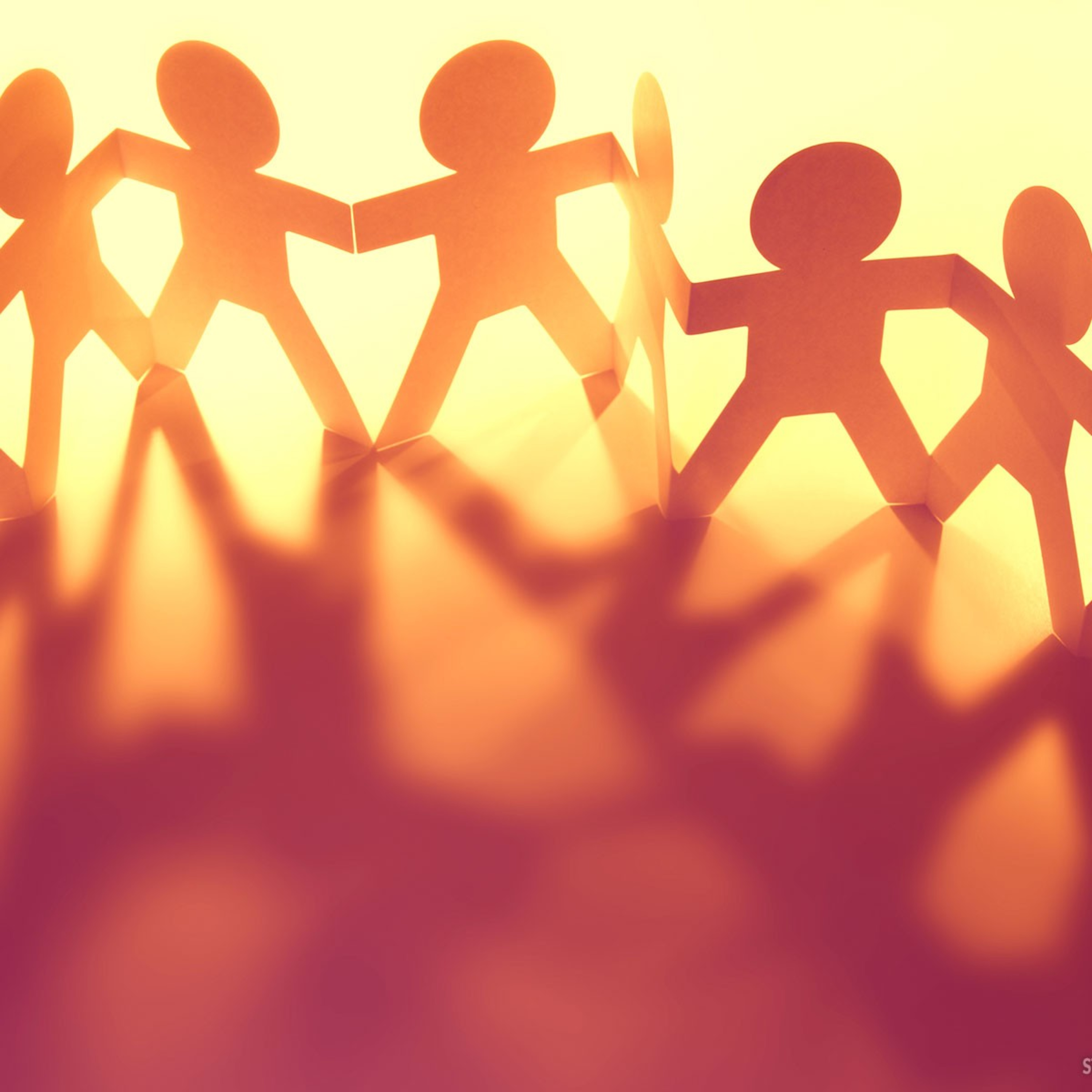 SOLIDARIEDADE episode artwork