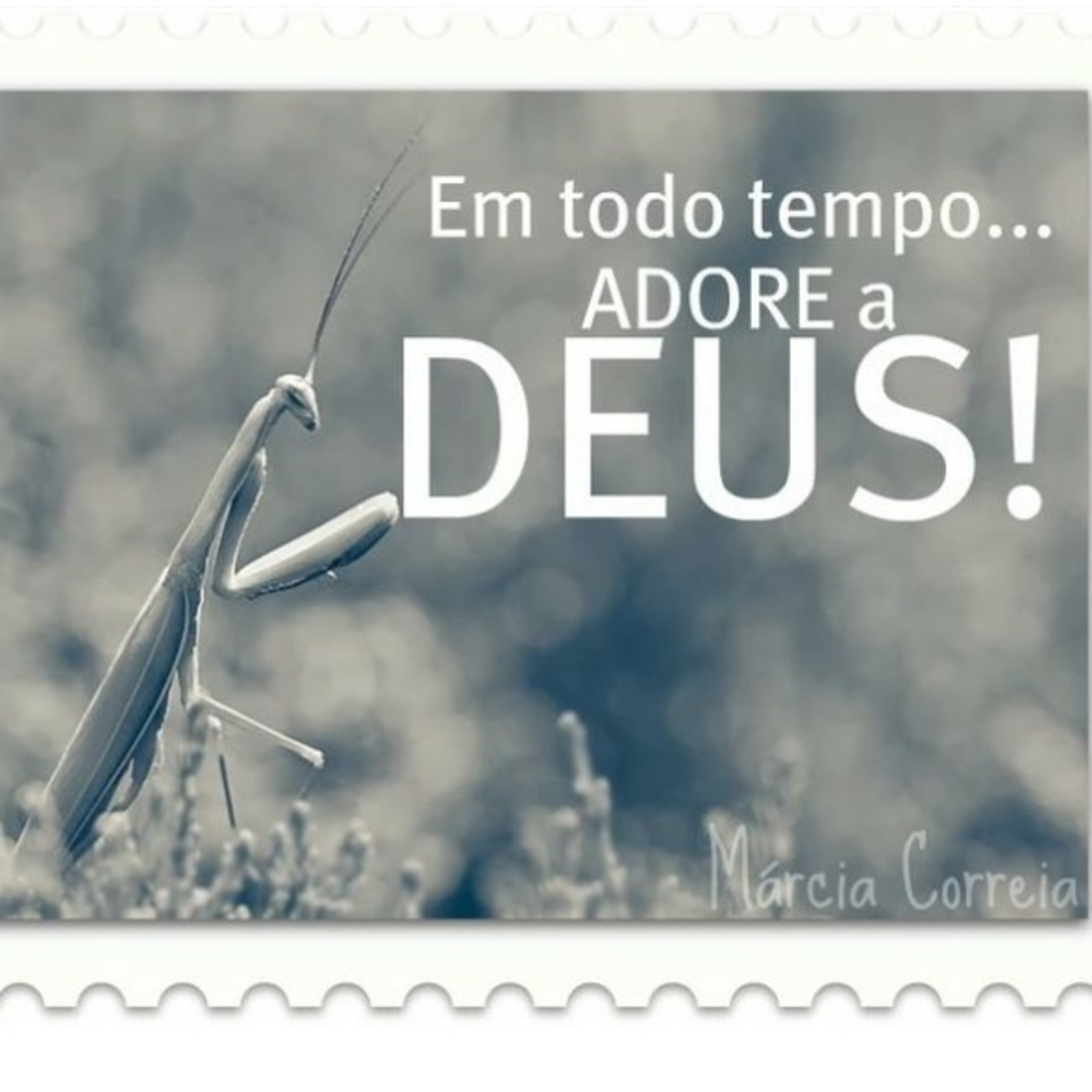 LOUVANDO A DEUS NAS SITUAÇÕES BOAS E MAS episode artwork
