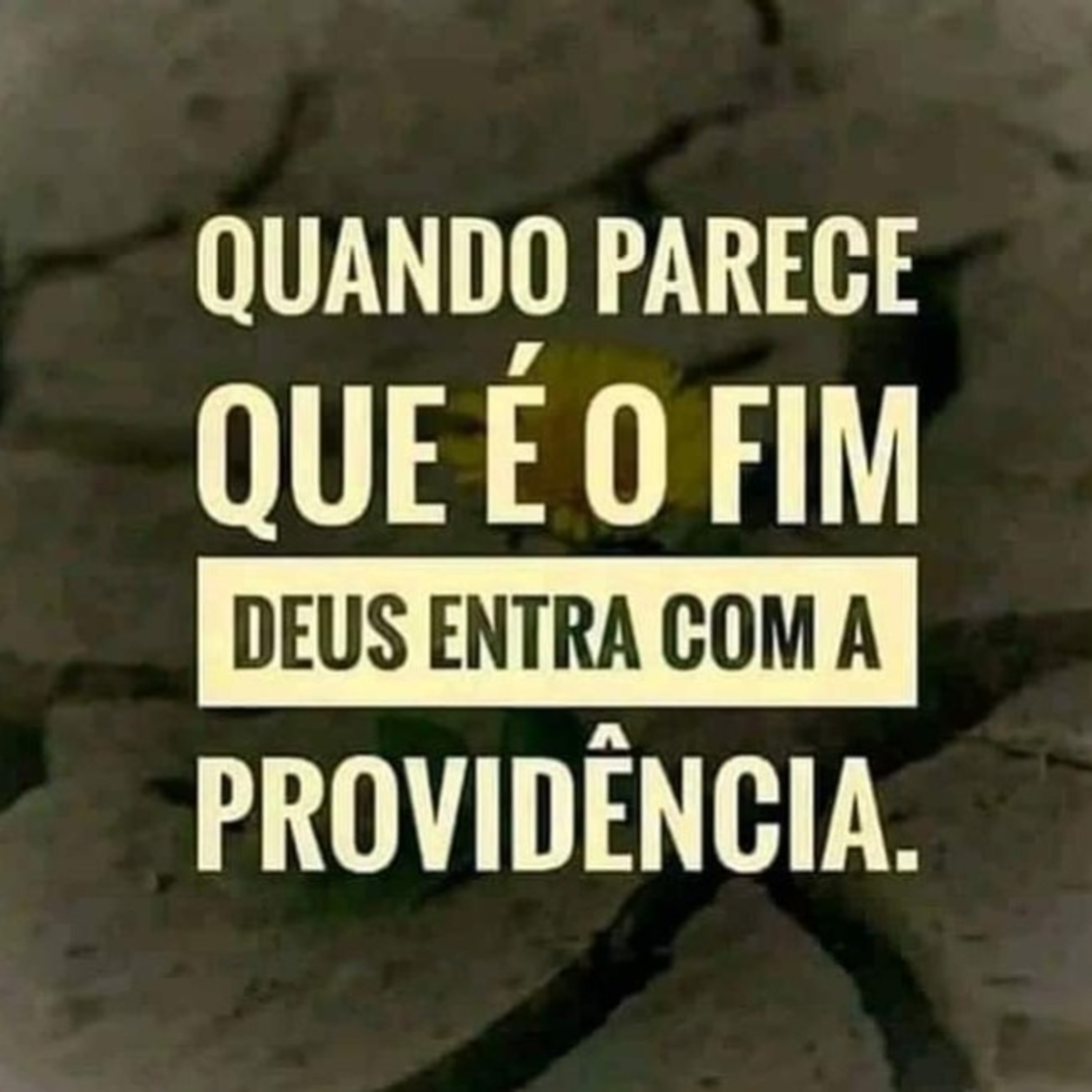 COINCIDÊNCIA OU PROVIDÊNCIA? episode artwork