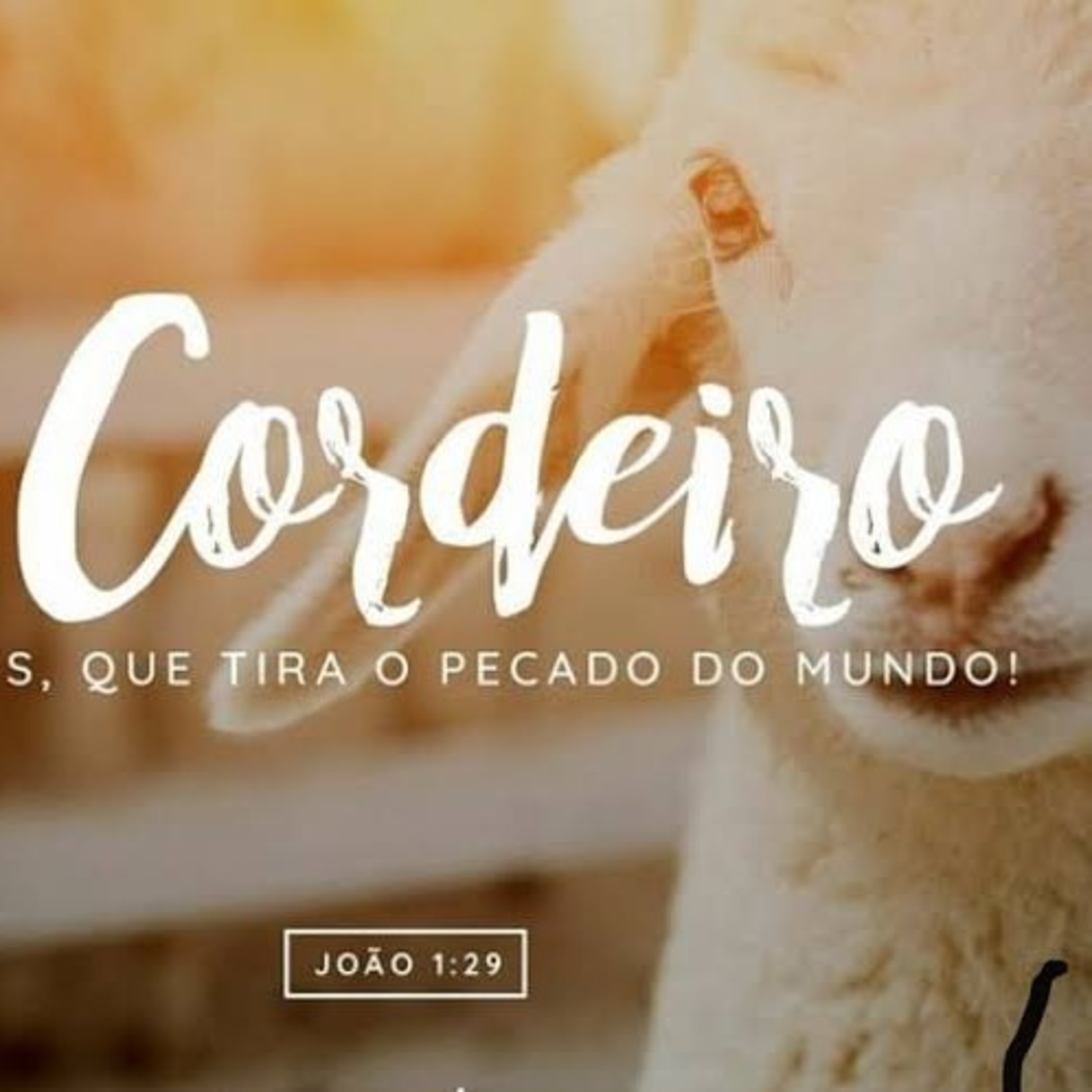 JESUS O CORDEIRO DE DEUS episode artwork